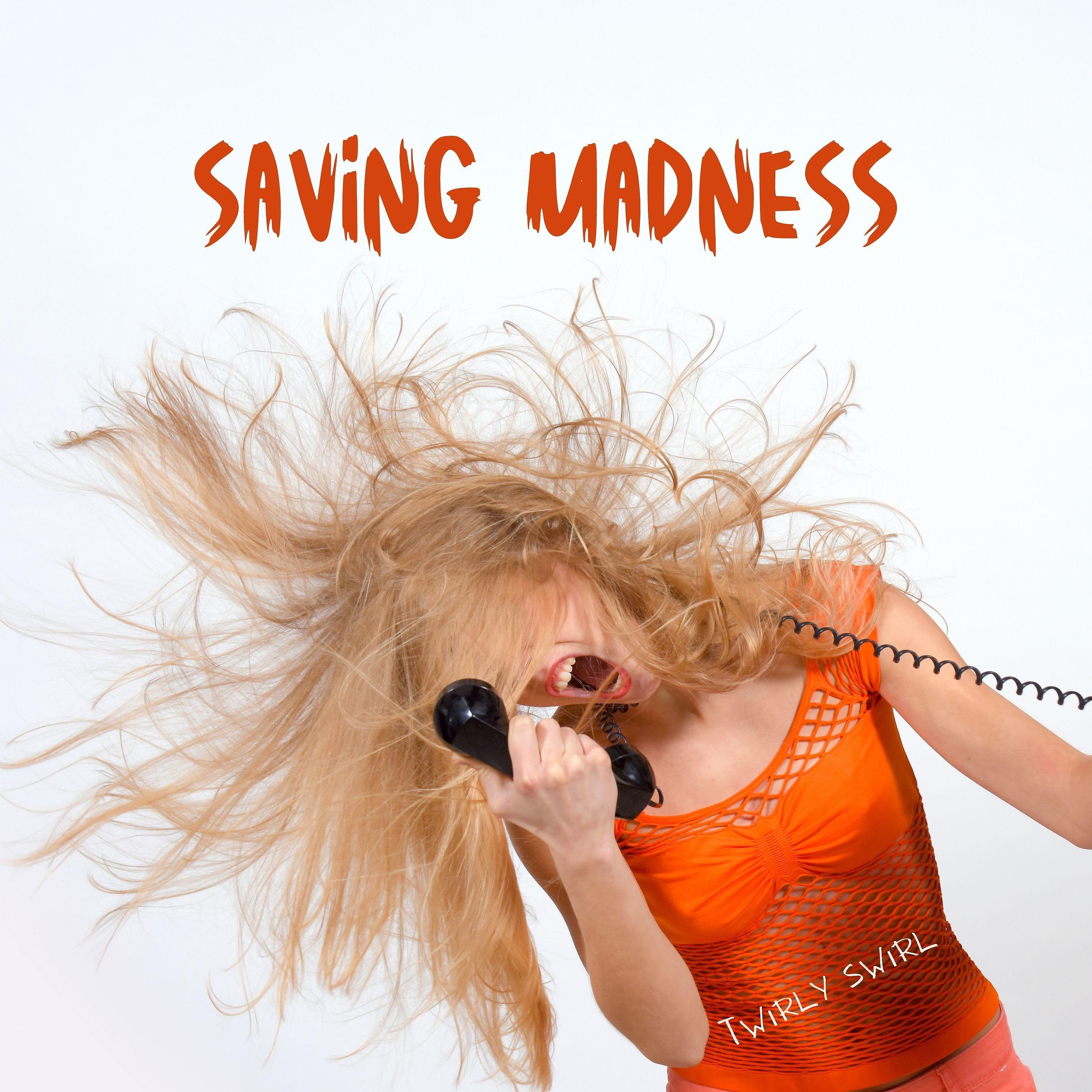 Постер альбома Saving Madness