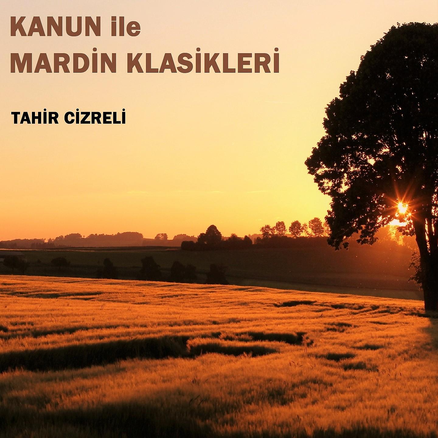 Постер альбома Kanun ile Mardin Klasikleri