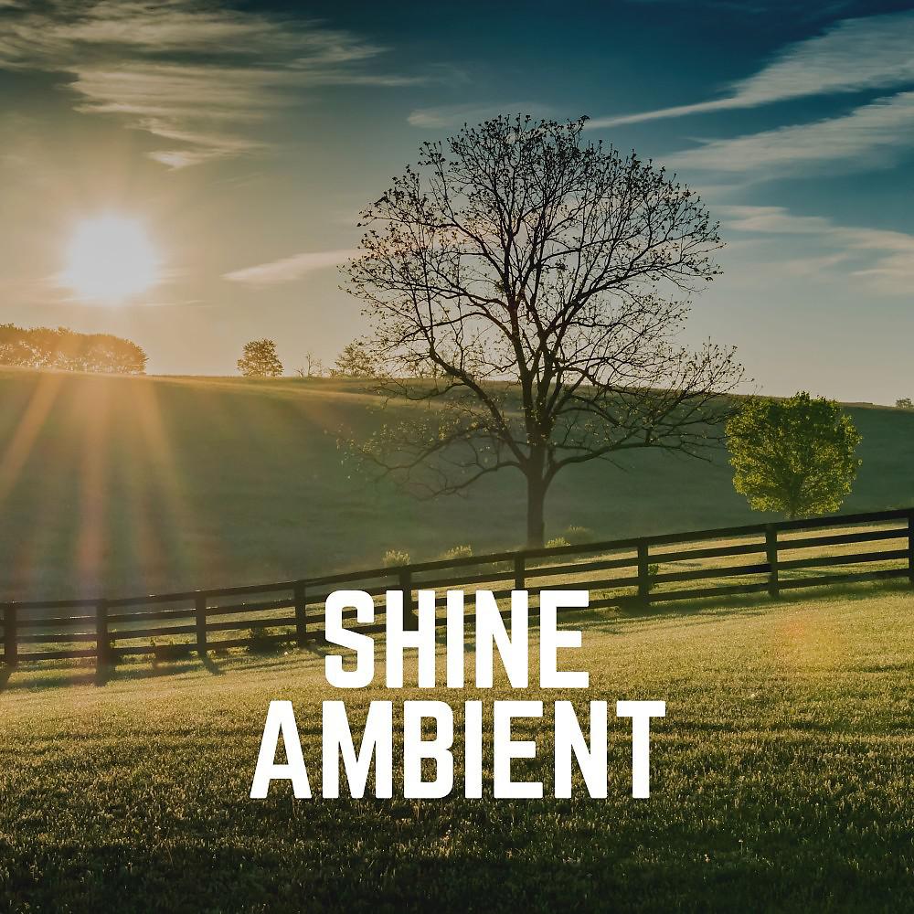 Постер альбома Shine Ambient