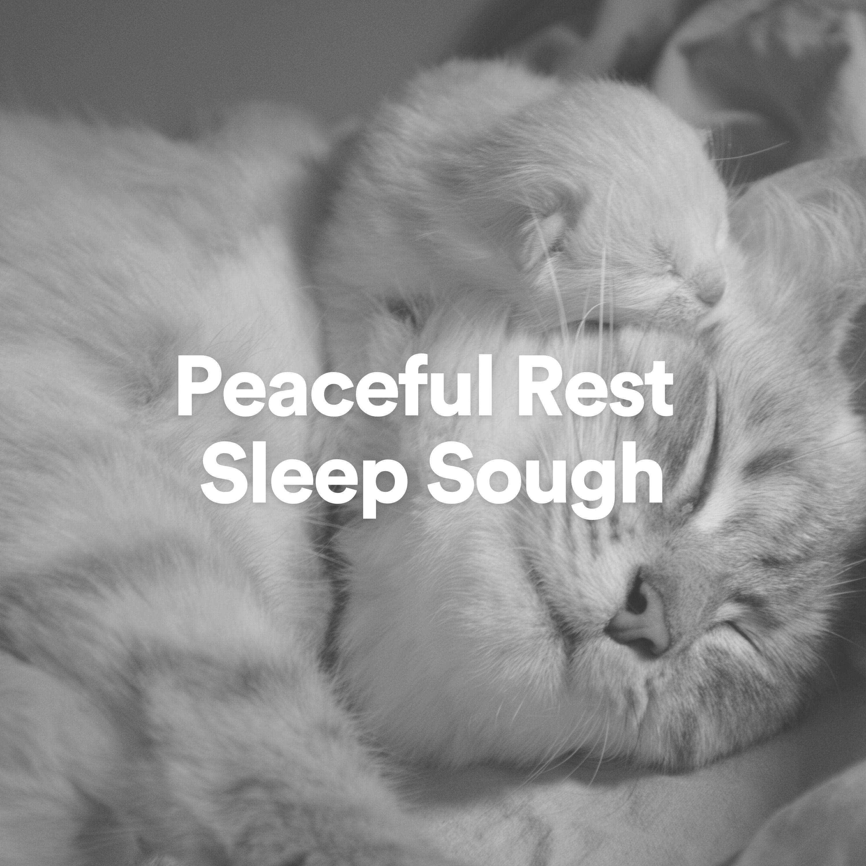 Постер альбома Peaceful Rest Sleep Sough