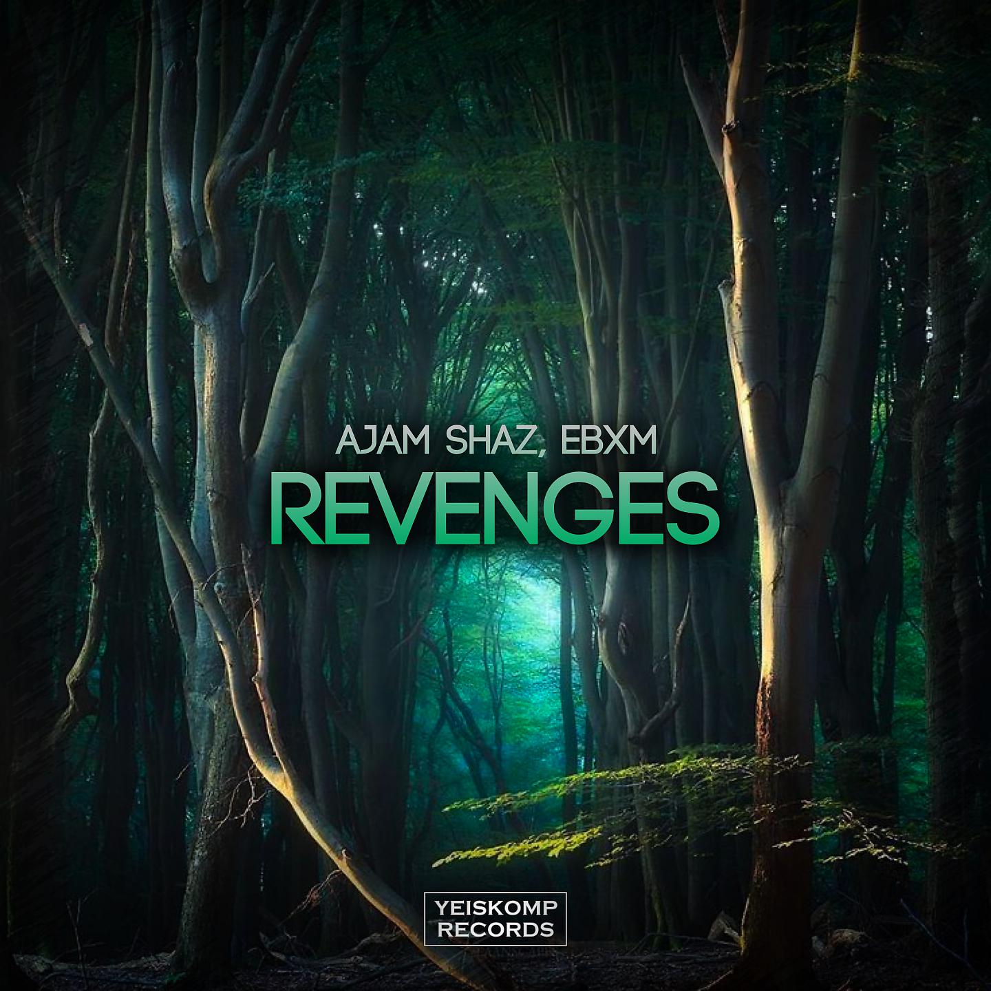 Постер альбома Revenges