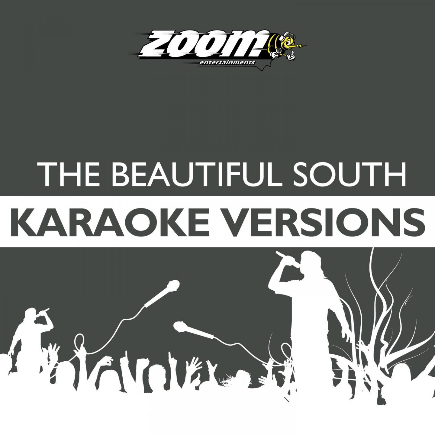 Zoom Karaoke - Song for Whoever (Karaoke Version) [Originally Performed By The Beautiful South]