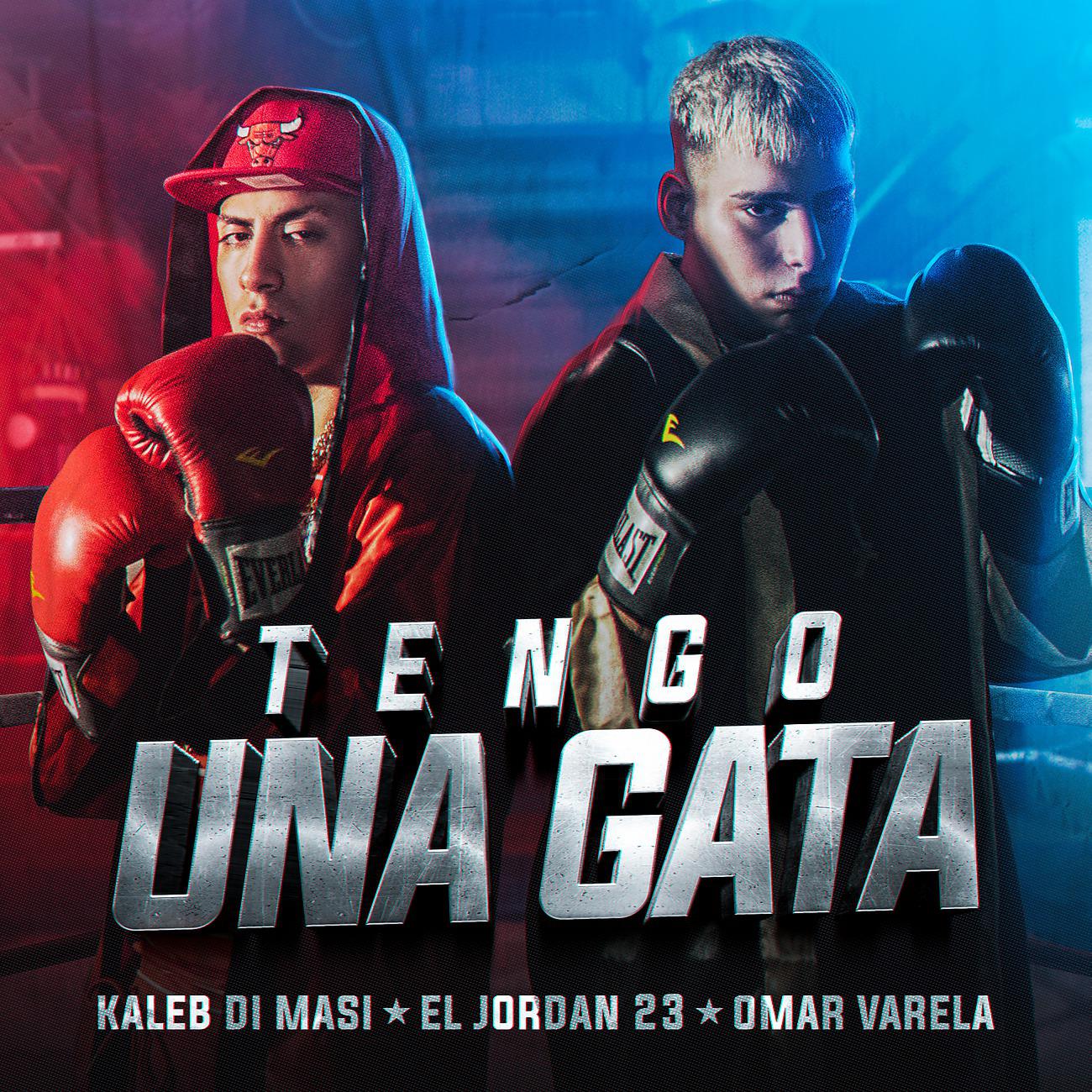 Постер альбома Tengo Una Gata
