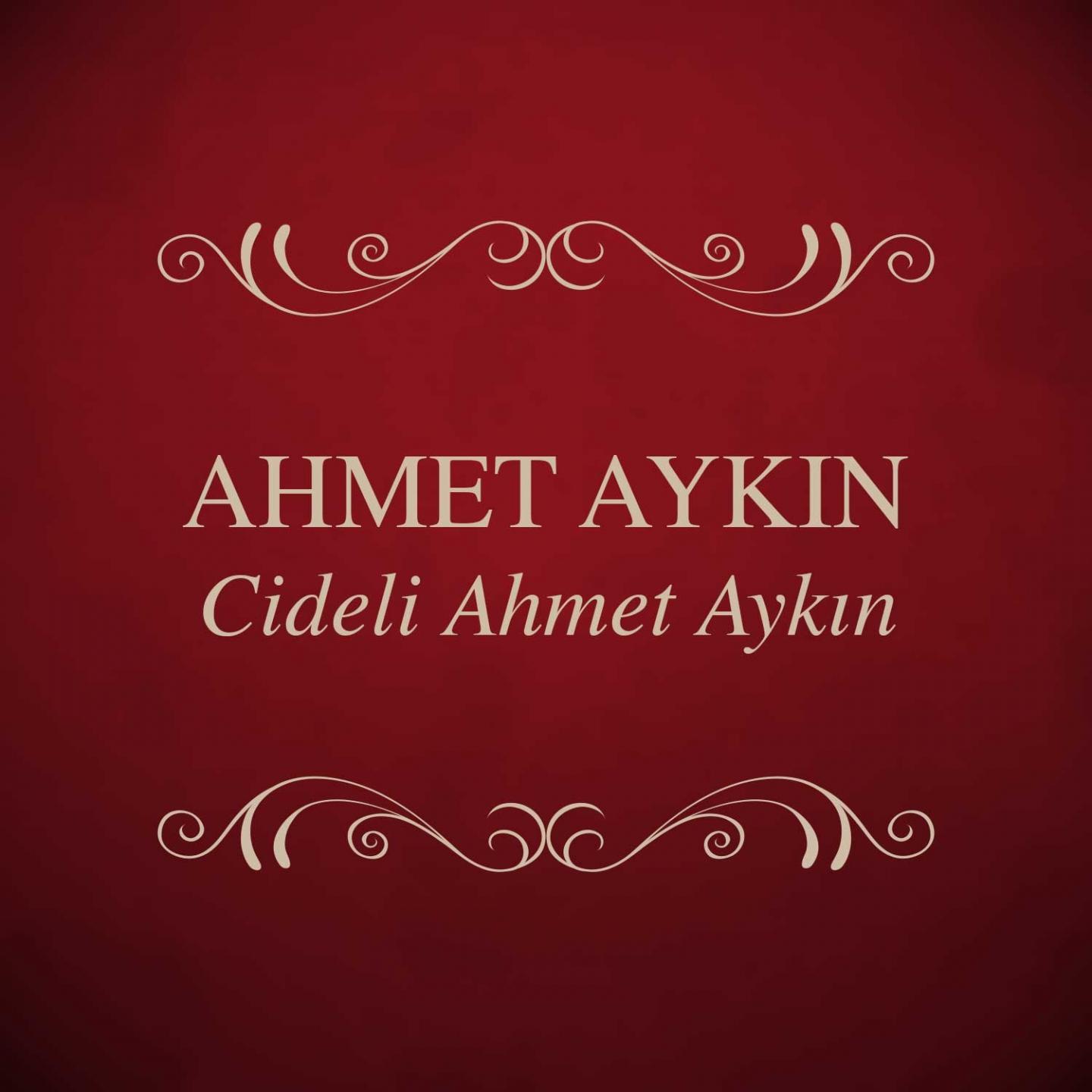 Постер альбома Cideli Ahmet Aykın