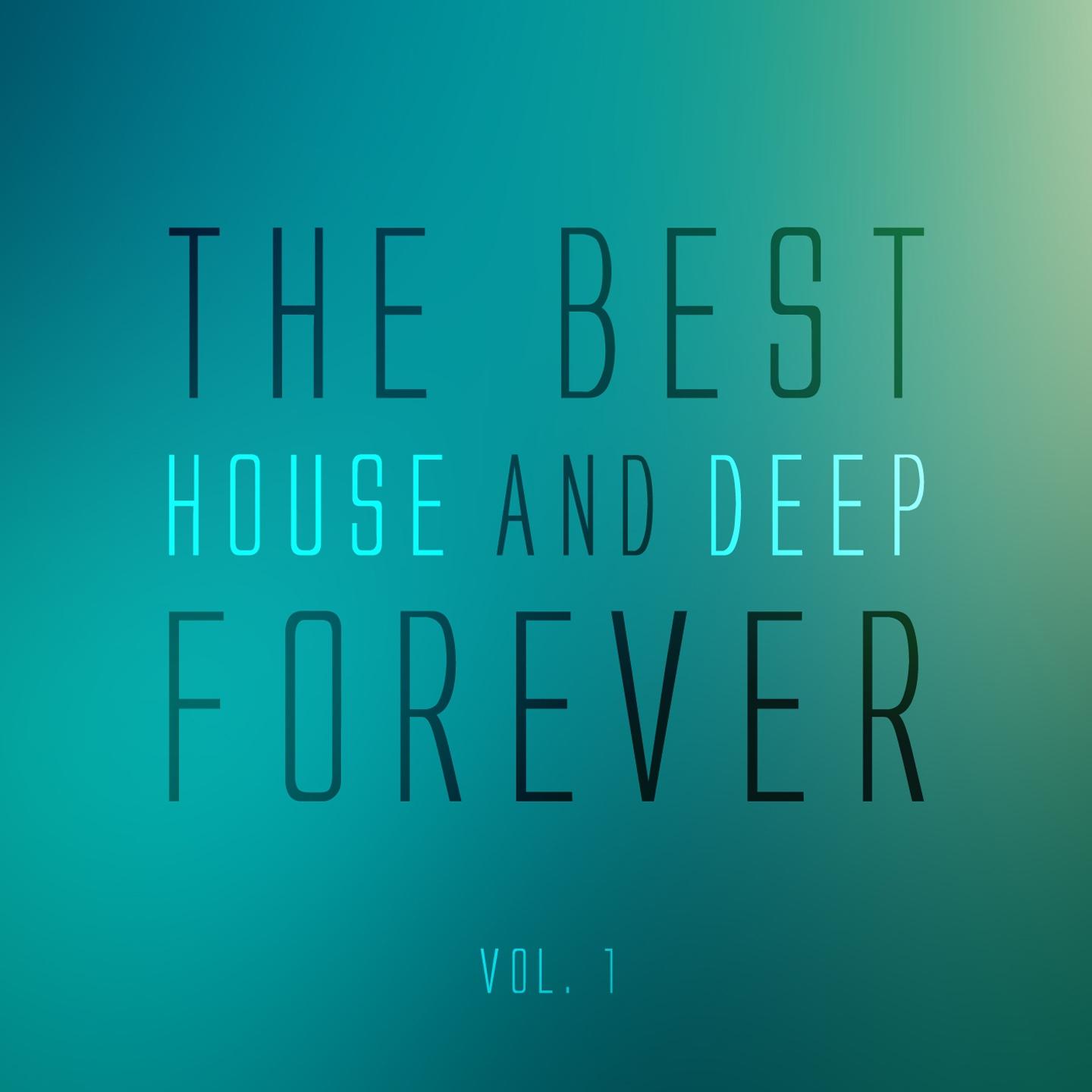 Постер альбома The Best House and Deep Forever, Vol. 1