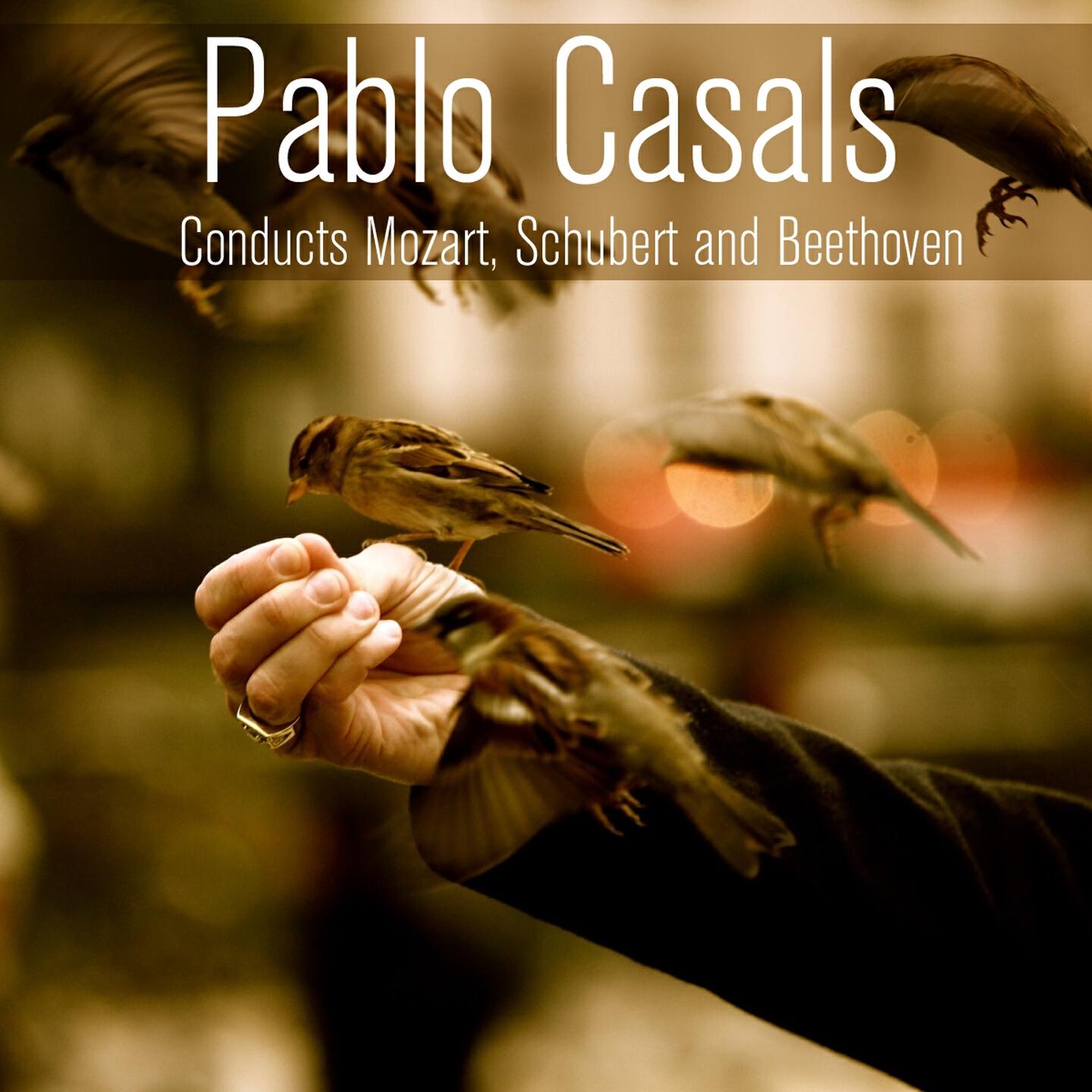 Concert du Festival de Prades - Concerto for Violin and Orchestra in C Major, Op. 15: III. Rondo