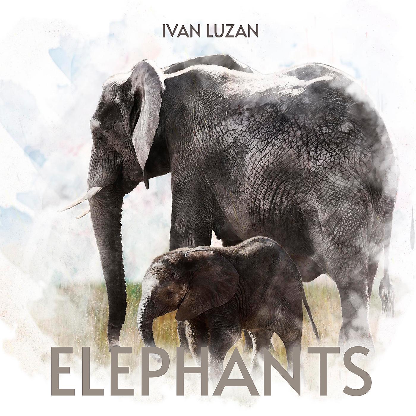 Постер альбома Elephants