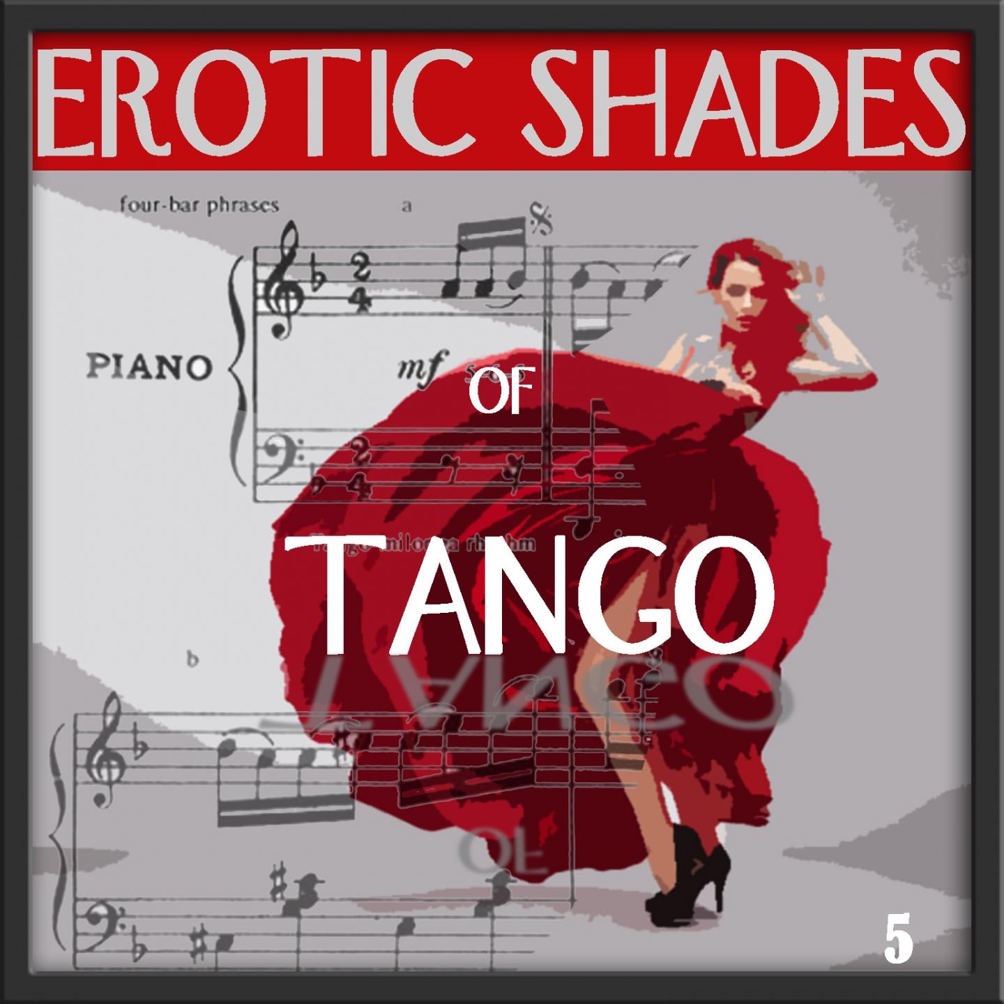 Постер альбома Erotic Shades of Tango, Vol. 5