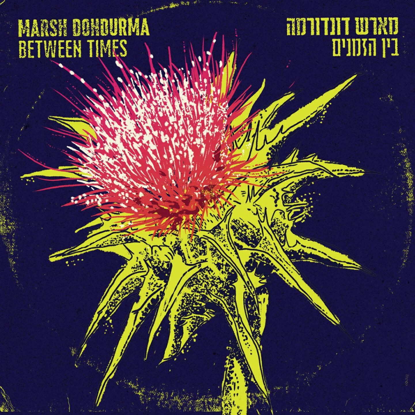Marsh Dondurma - New Kid Nn the Block