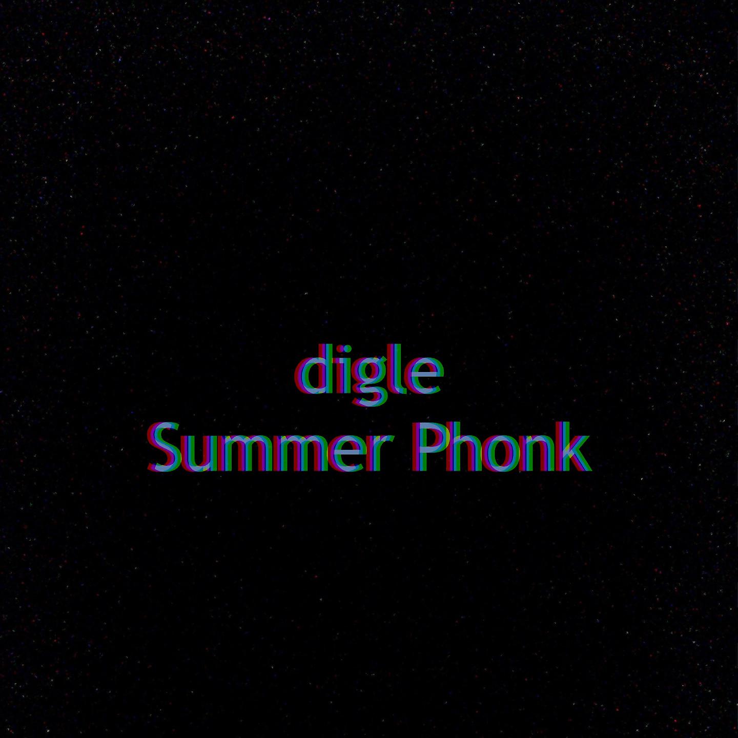 Постер альбома Summer Phonk