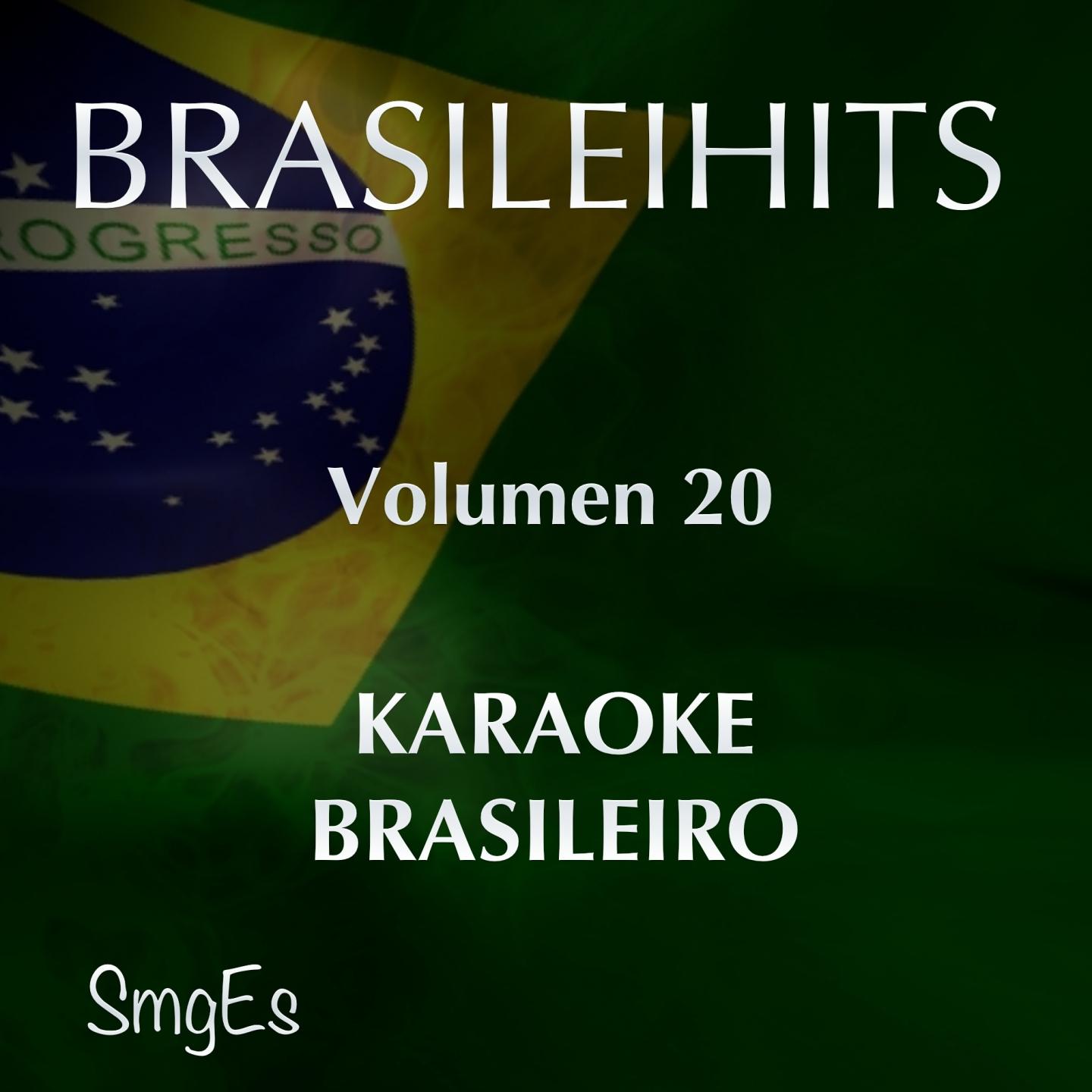 Постер альбома BrasileiHits, Vol. 20 (Karaoke Version)