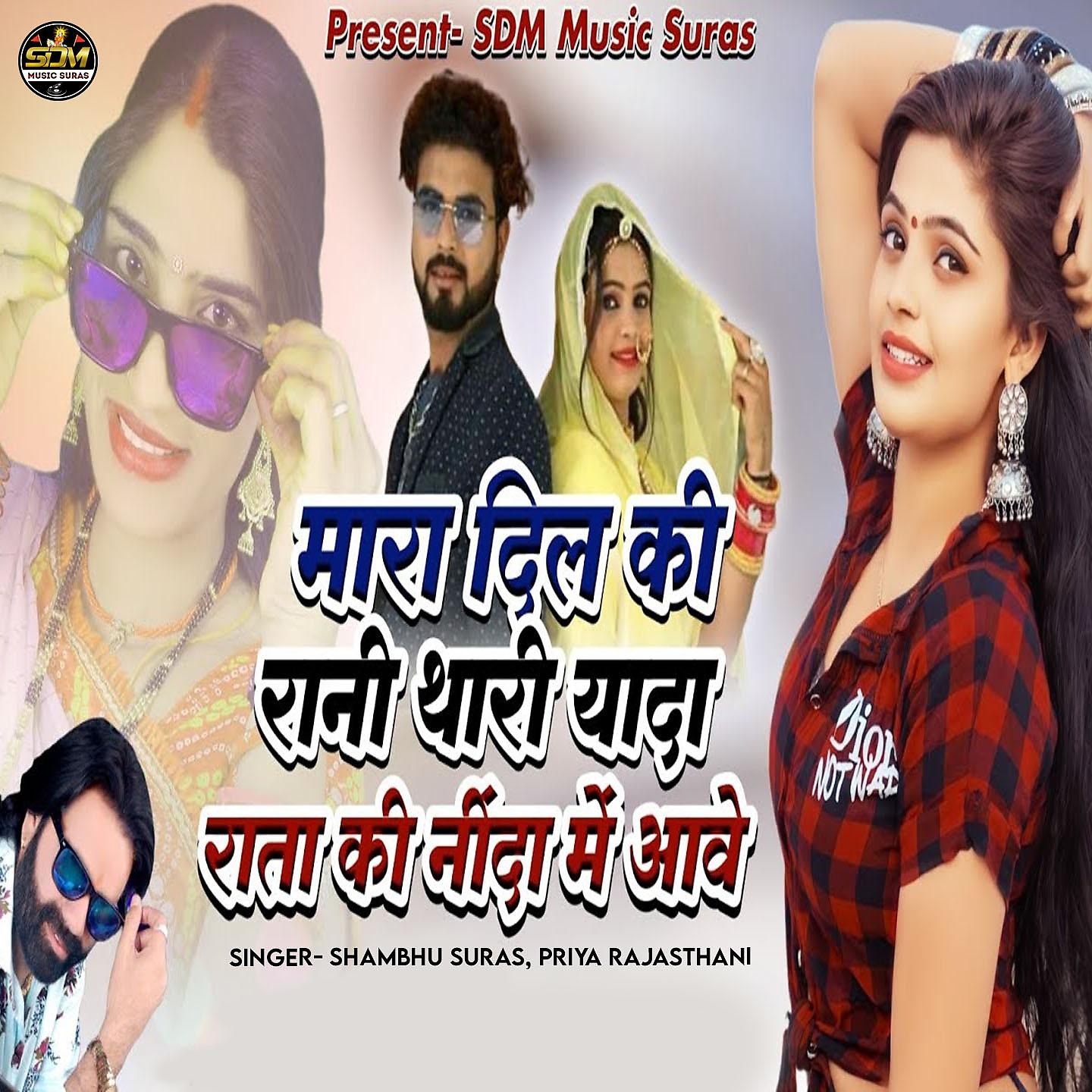 Постер альбома Mara Dil Ki Rani Thari Yaada Rata Ki Ninda Me Aave