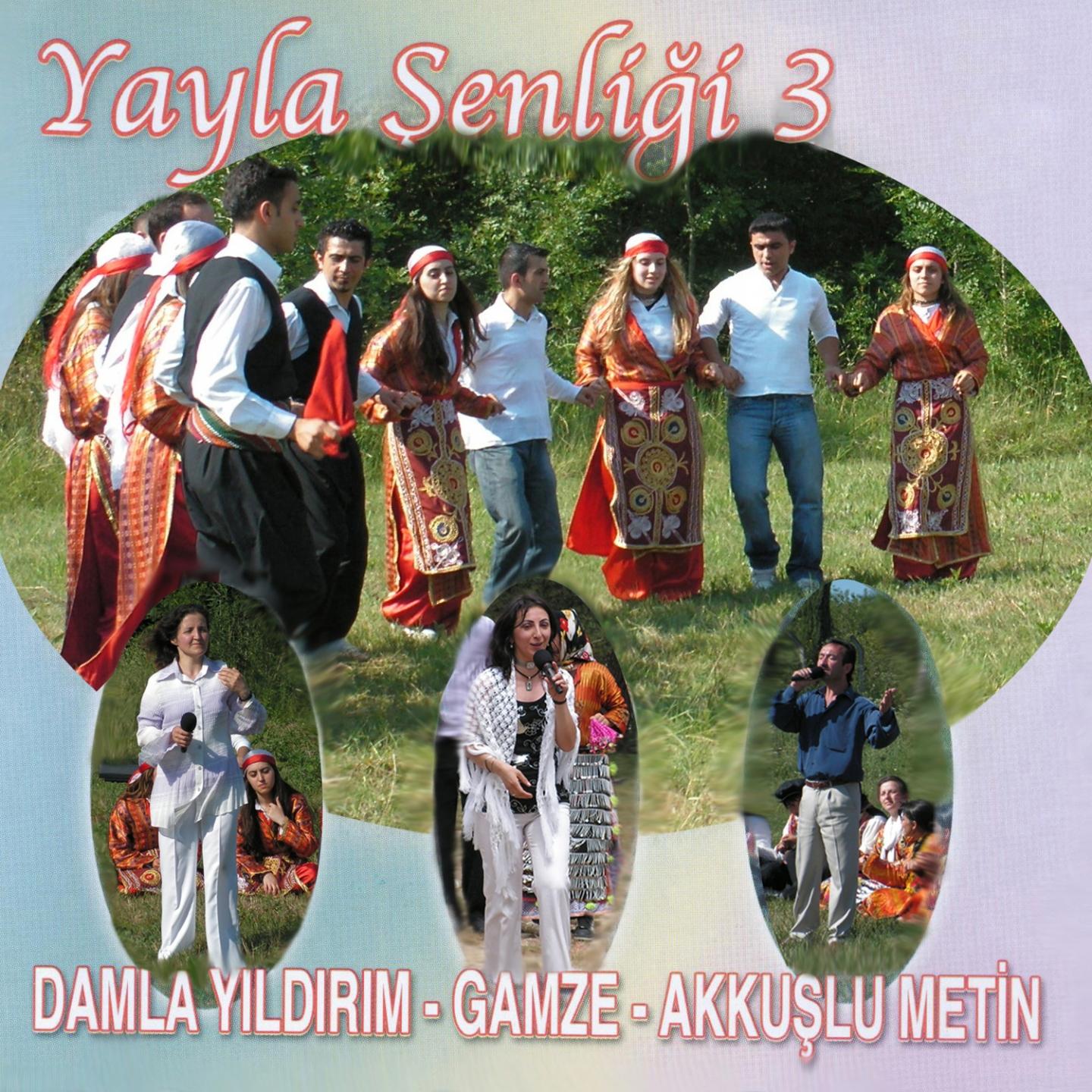 Постер альбома Yayla Şenliği, Vol. 3