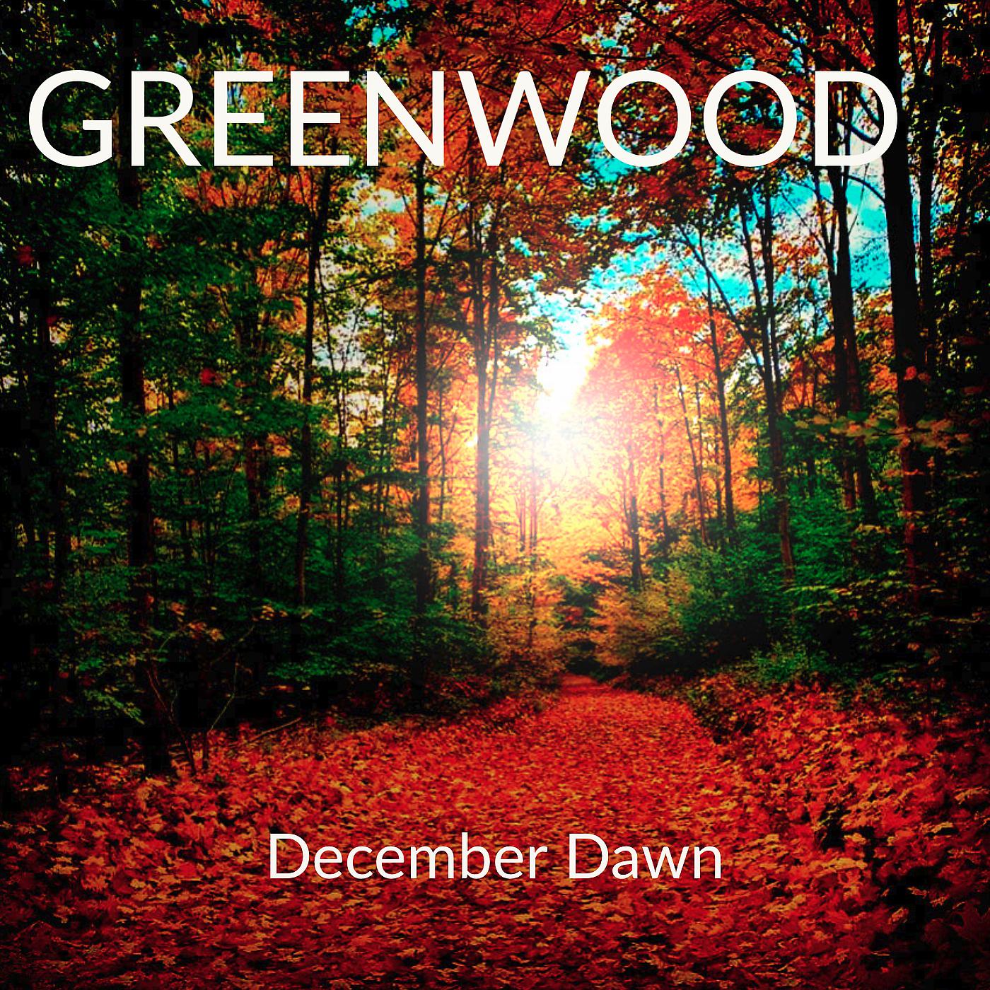 Постер альбома December Dawn