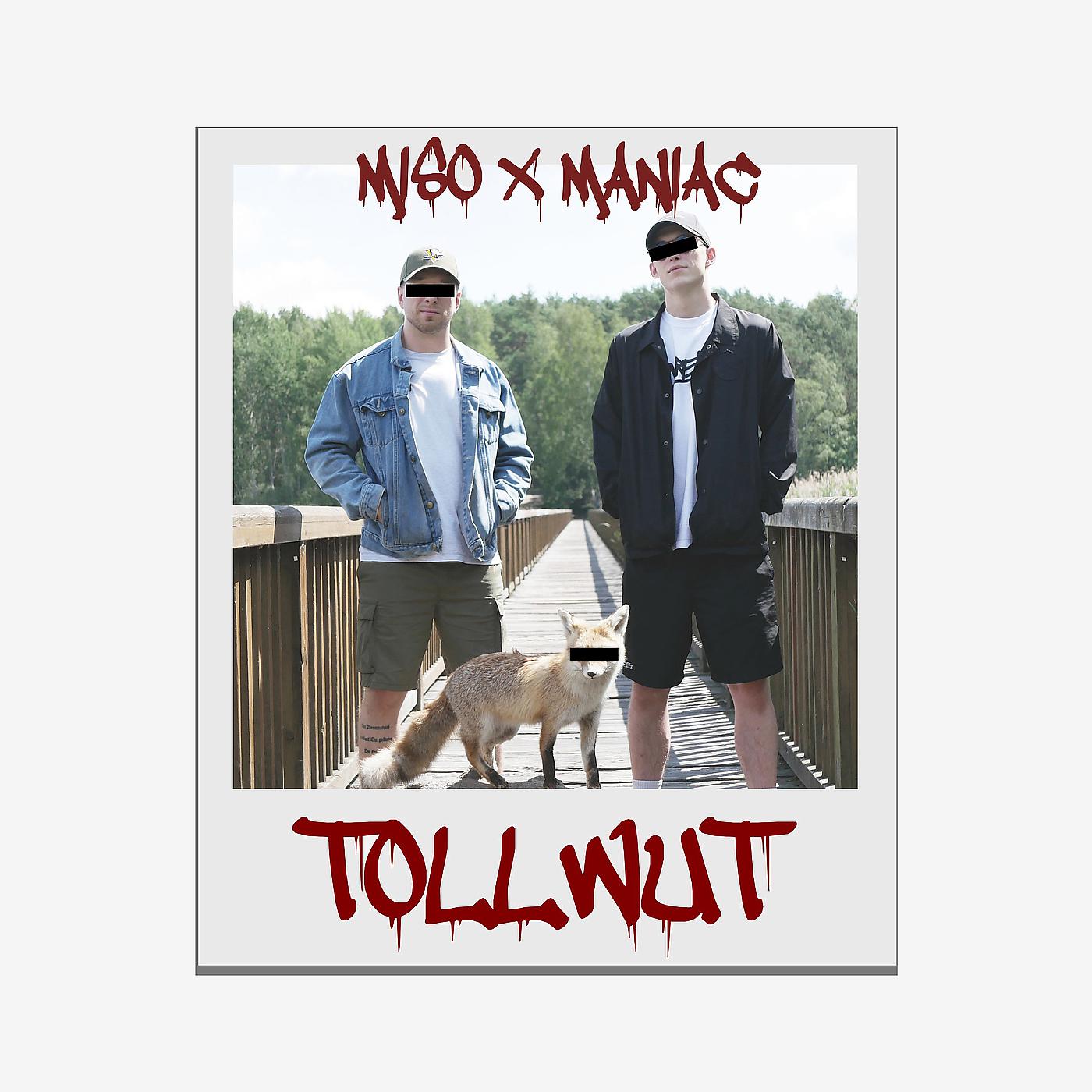 Постер альбома Tollwut