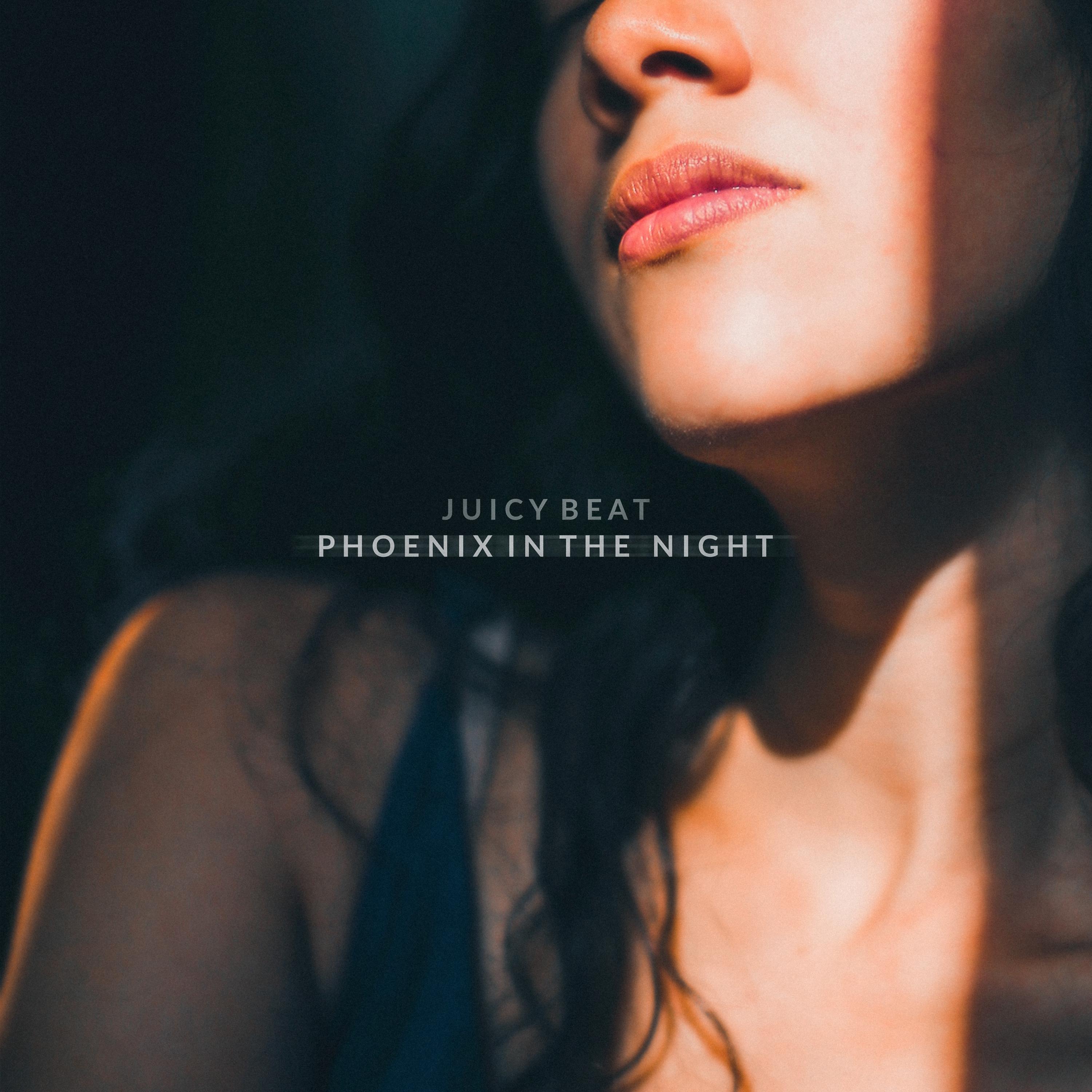 Постер альбома Phoenix In The Night