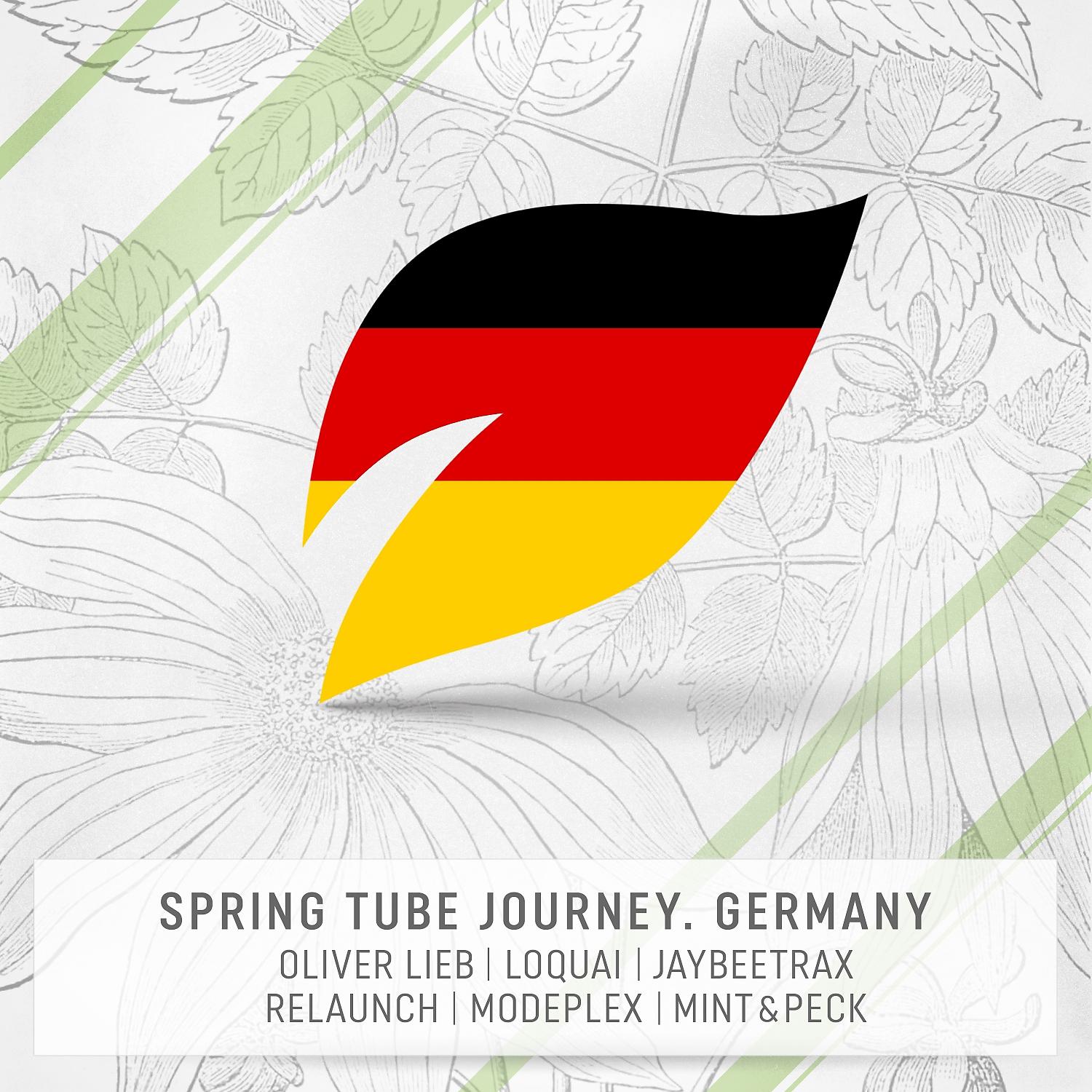 Постер альбома Spring Tube Journey. Germany