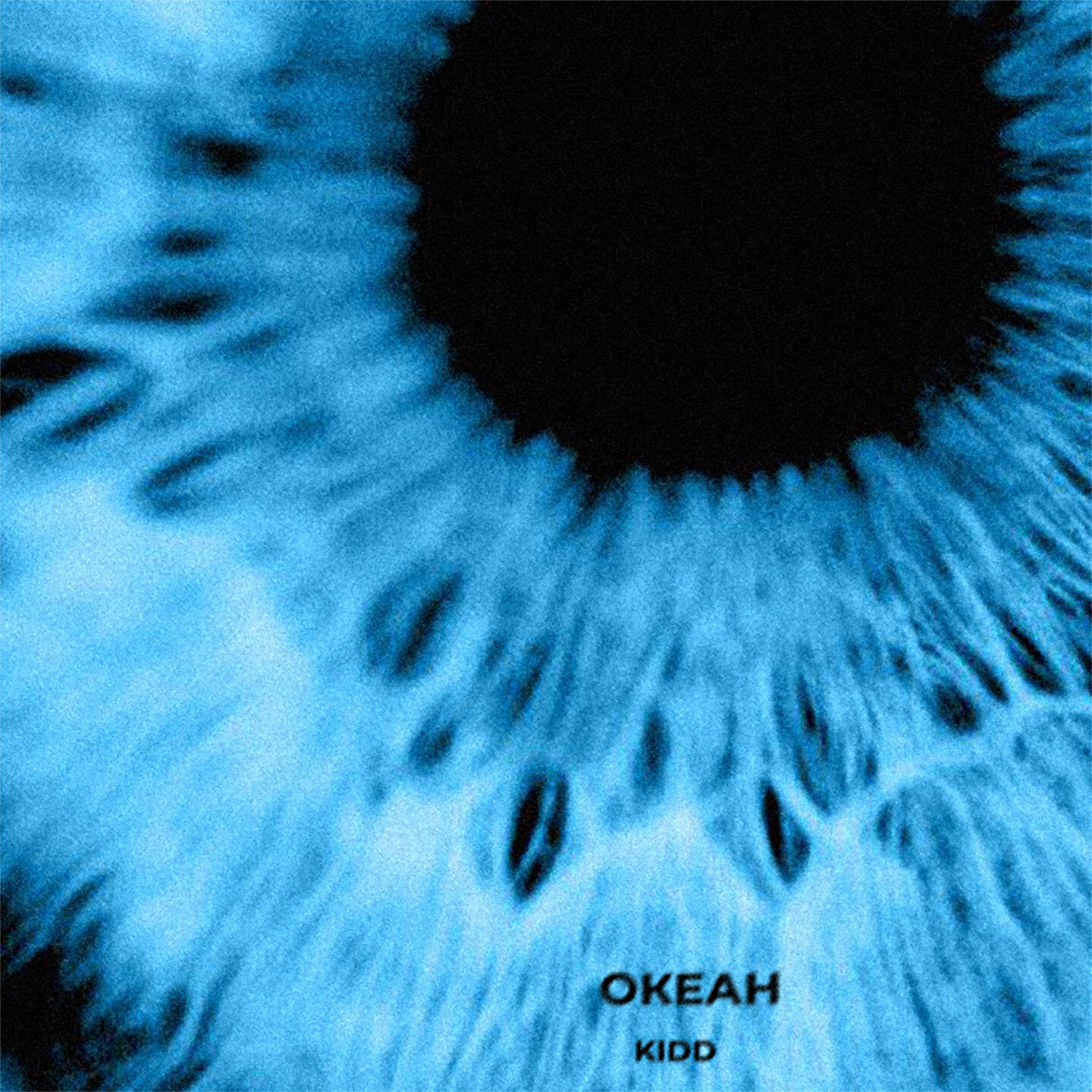 KIDD - Океан