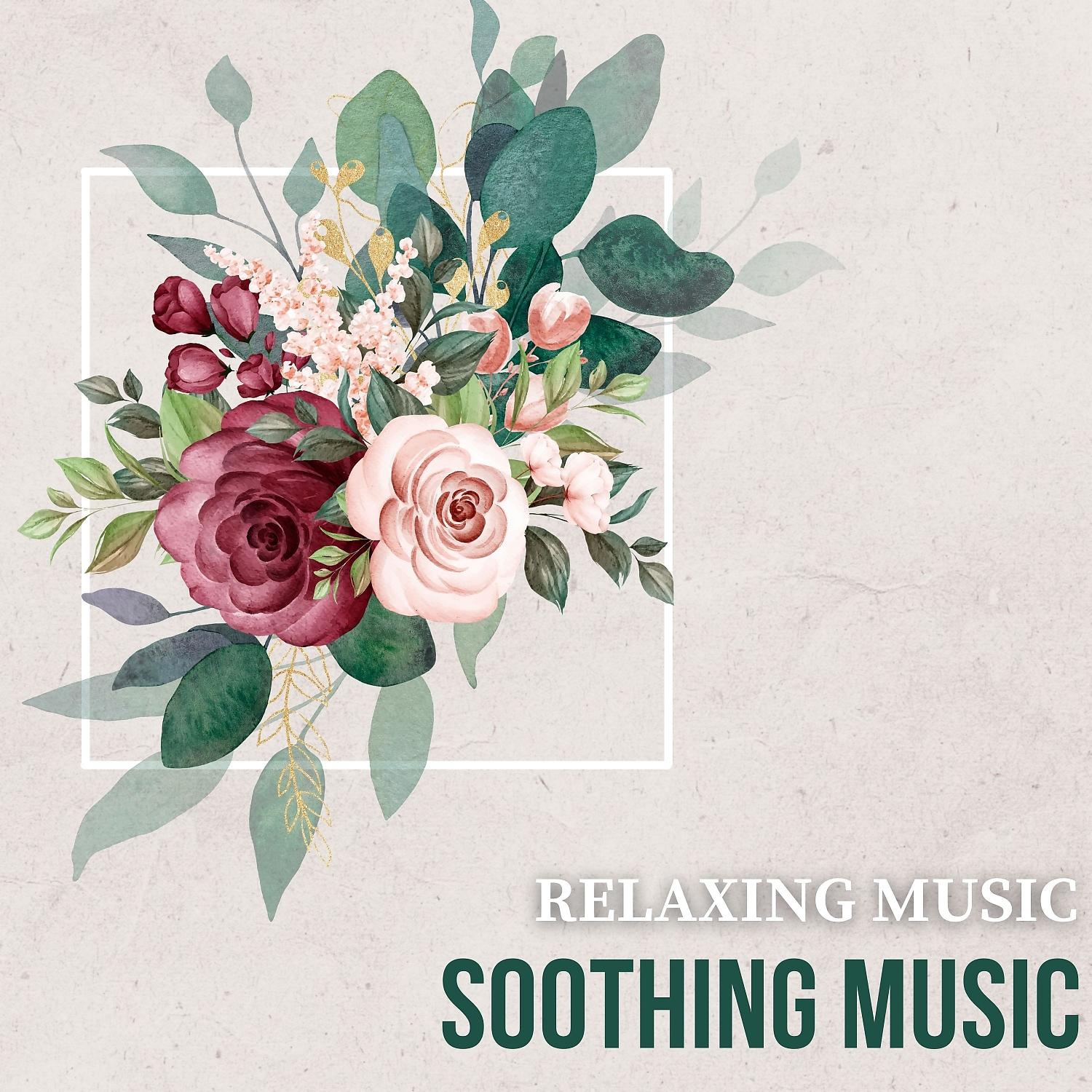 Постер альбома Soothing Music