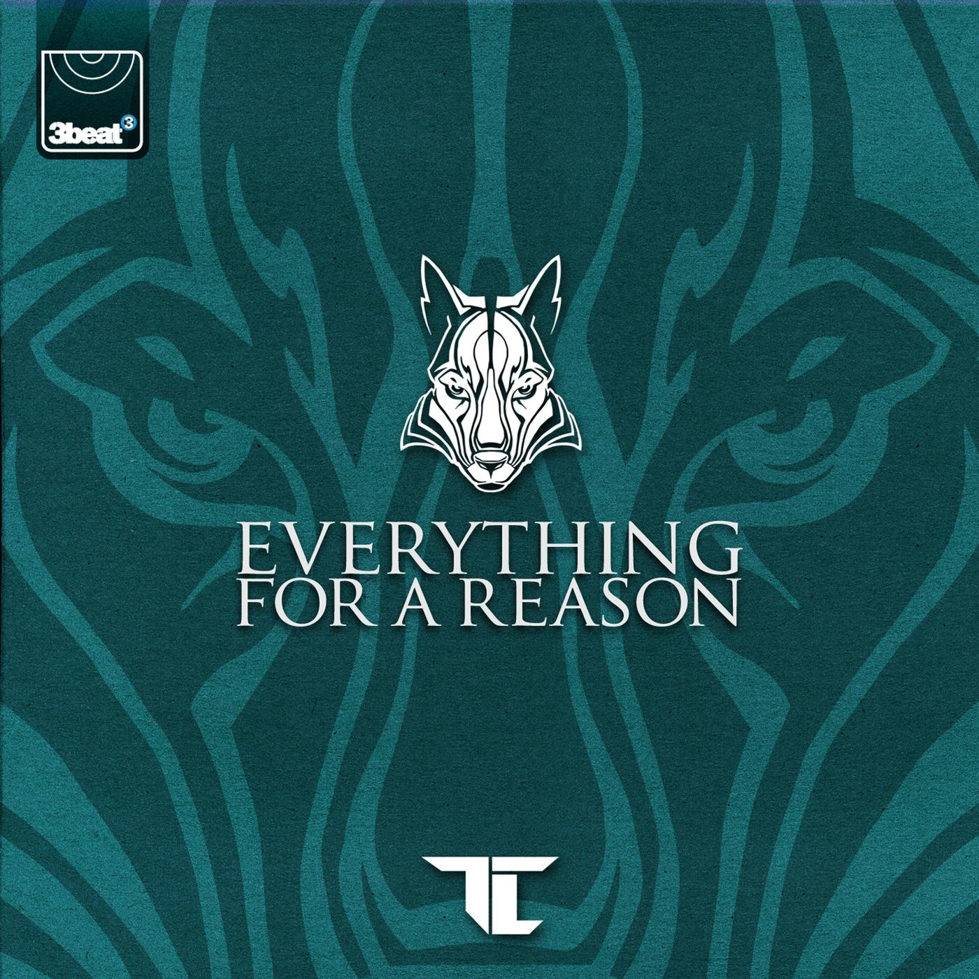 Постер альбома Everything For A Reason