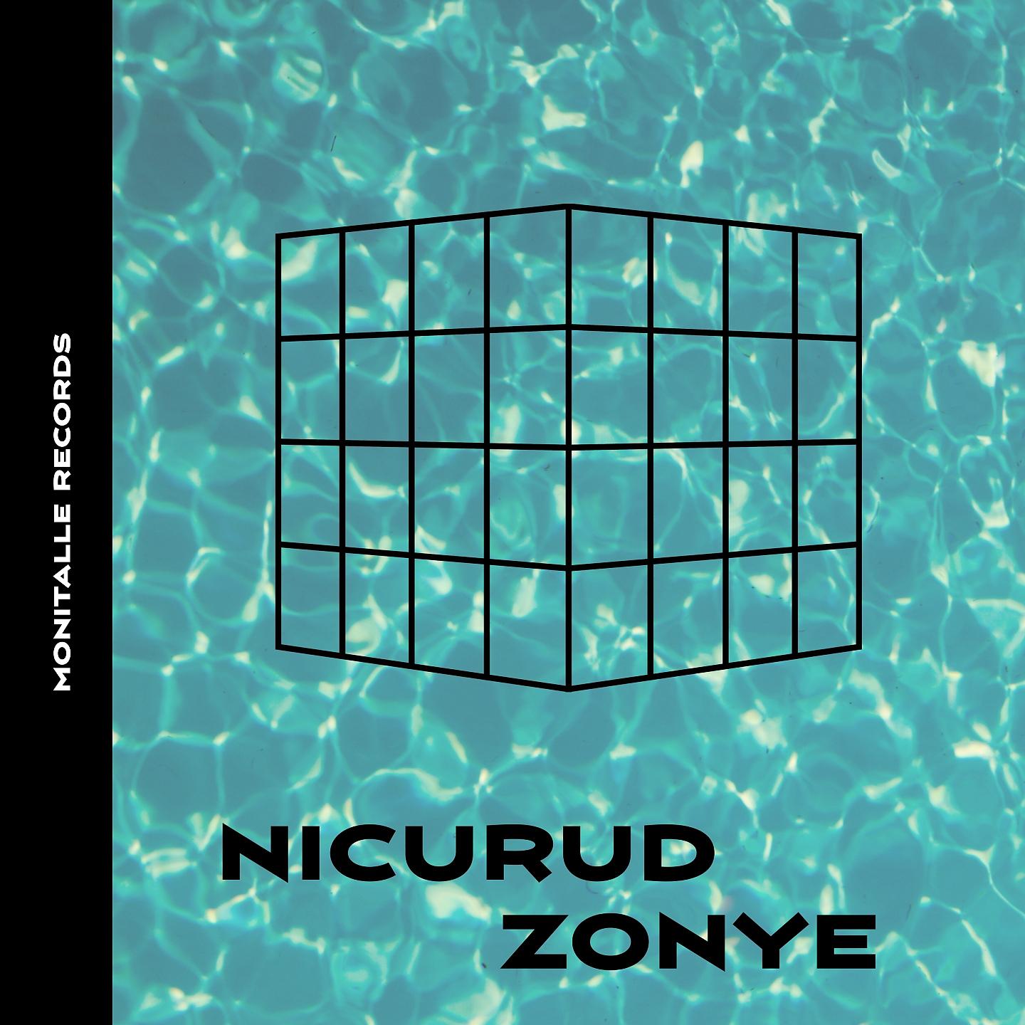 Постер альбома Nicurud