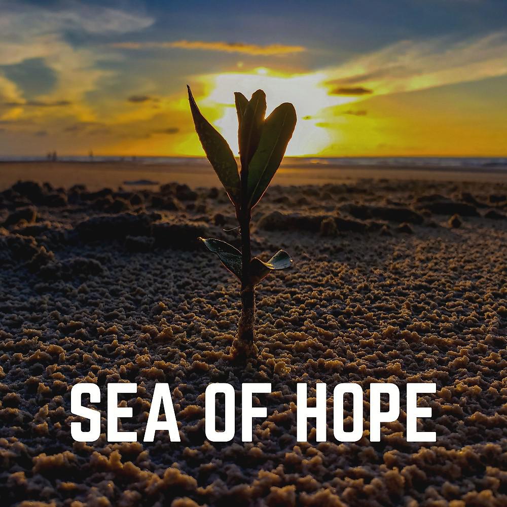 Постер альбома Sea of Hope