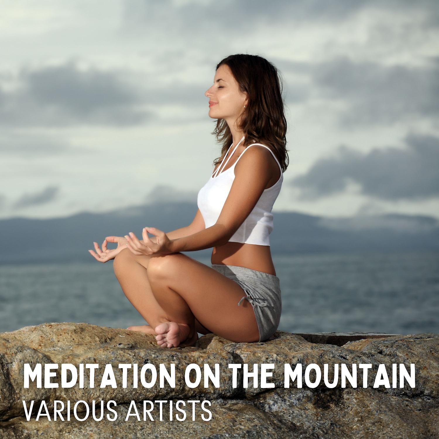 Постер альбома Meditation on the Mountain