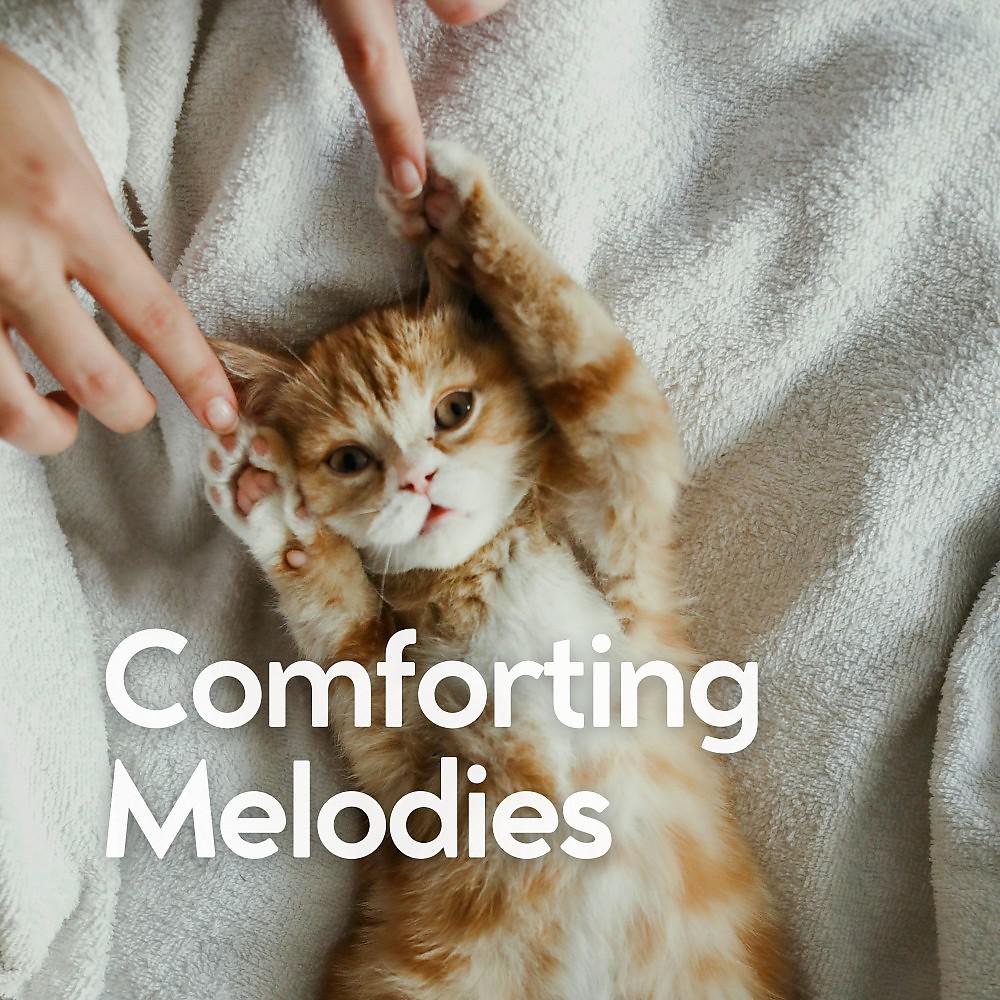 Постер альбома Comforting Melodies