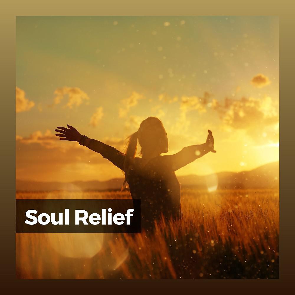 Постер альбома Soul Relief