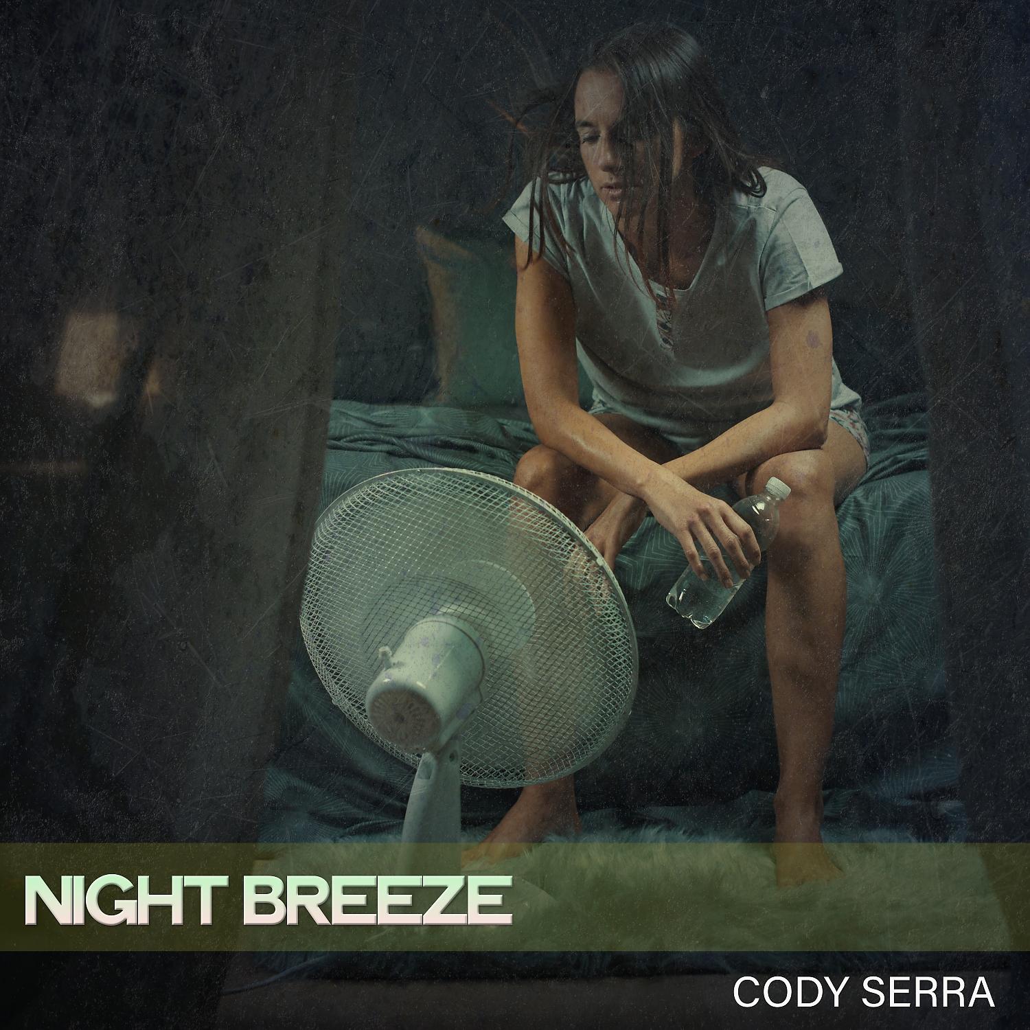 Постер альбома Night Breeze