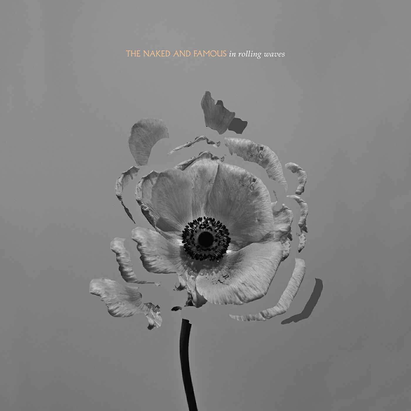 The Naked And Famous - I Kill Giants (Big Black Delta Remix)