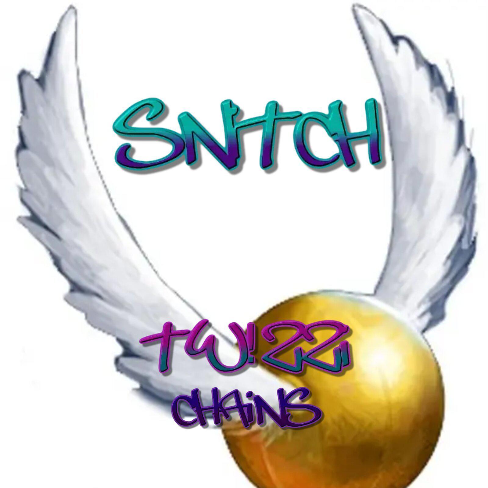 Постер альбома Snitch (feat. tw!zzi)