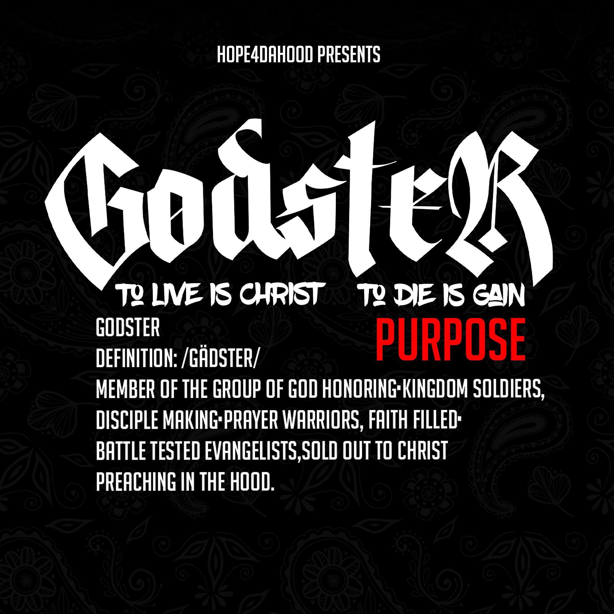 Постер альбома Godster