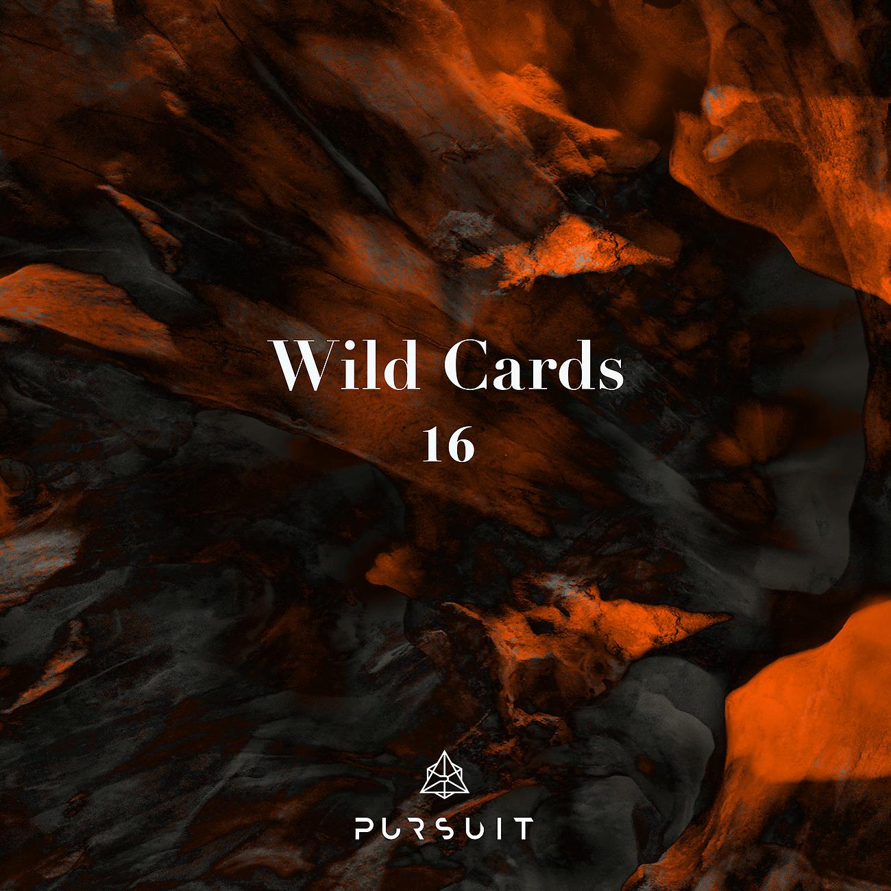 Постер альбома Wild Cards 16