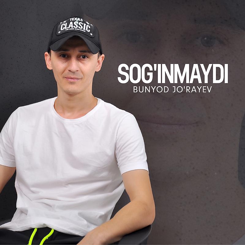 Постер альбома Sog'inmaydi