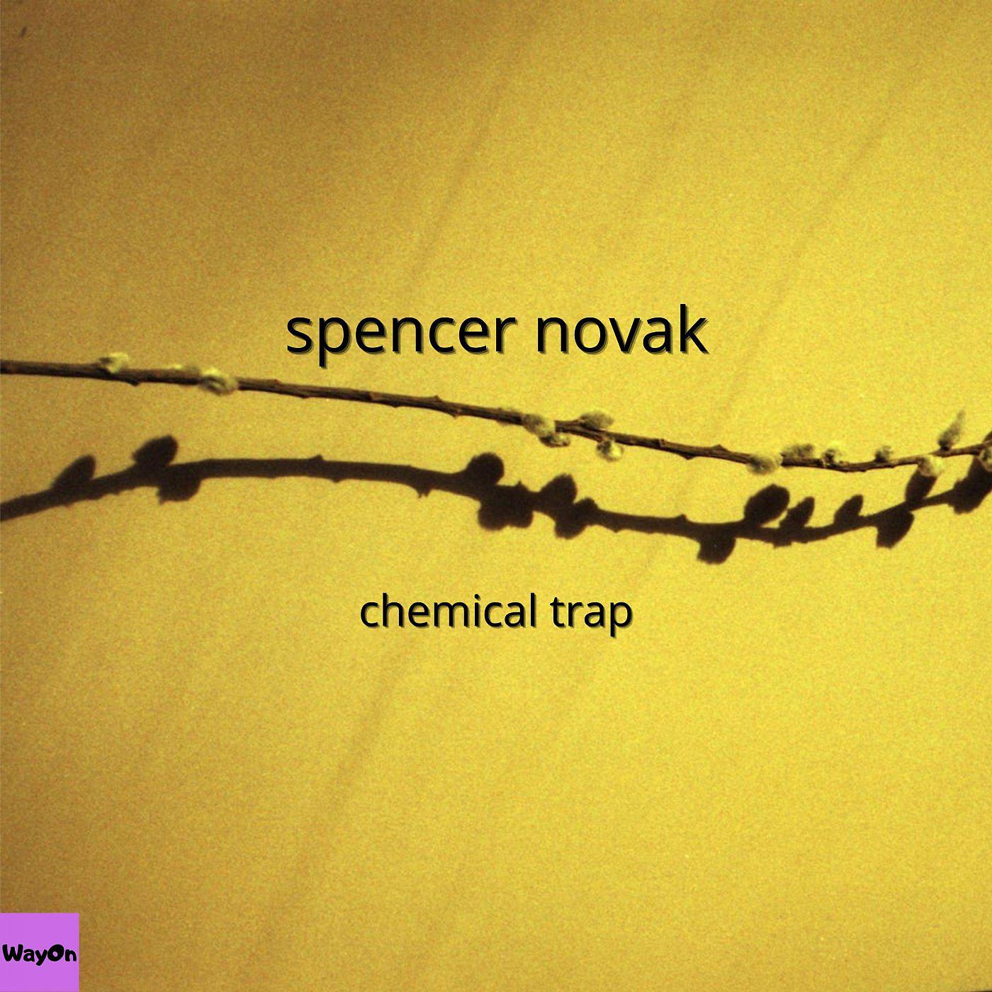 Постер альбома Chemical Trap