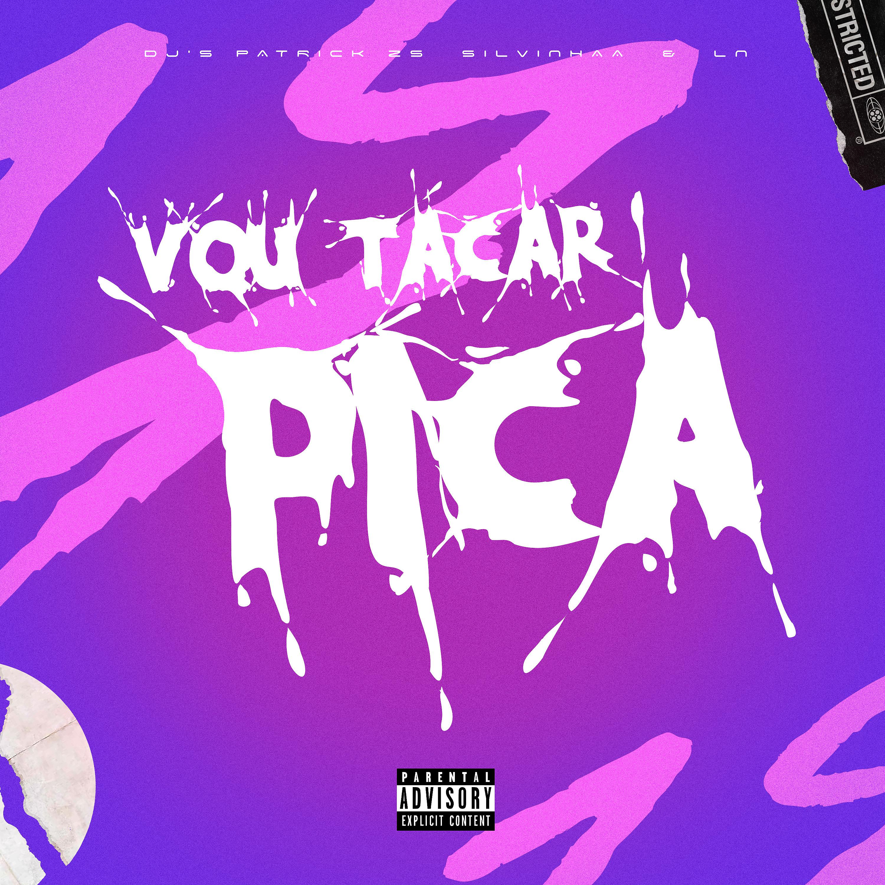 Постер альбома Vou Tacar Pica