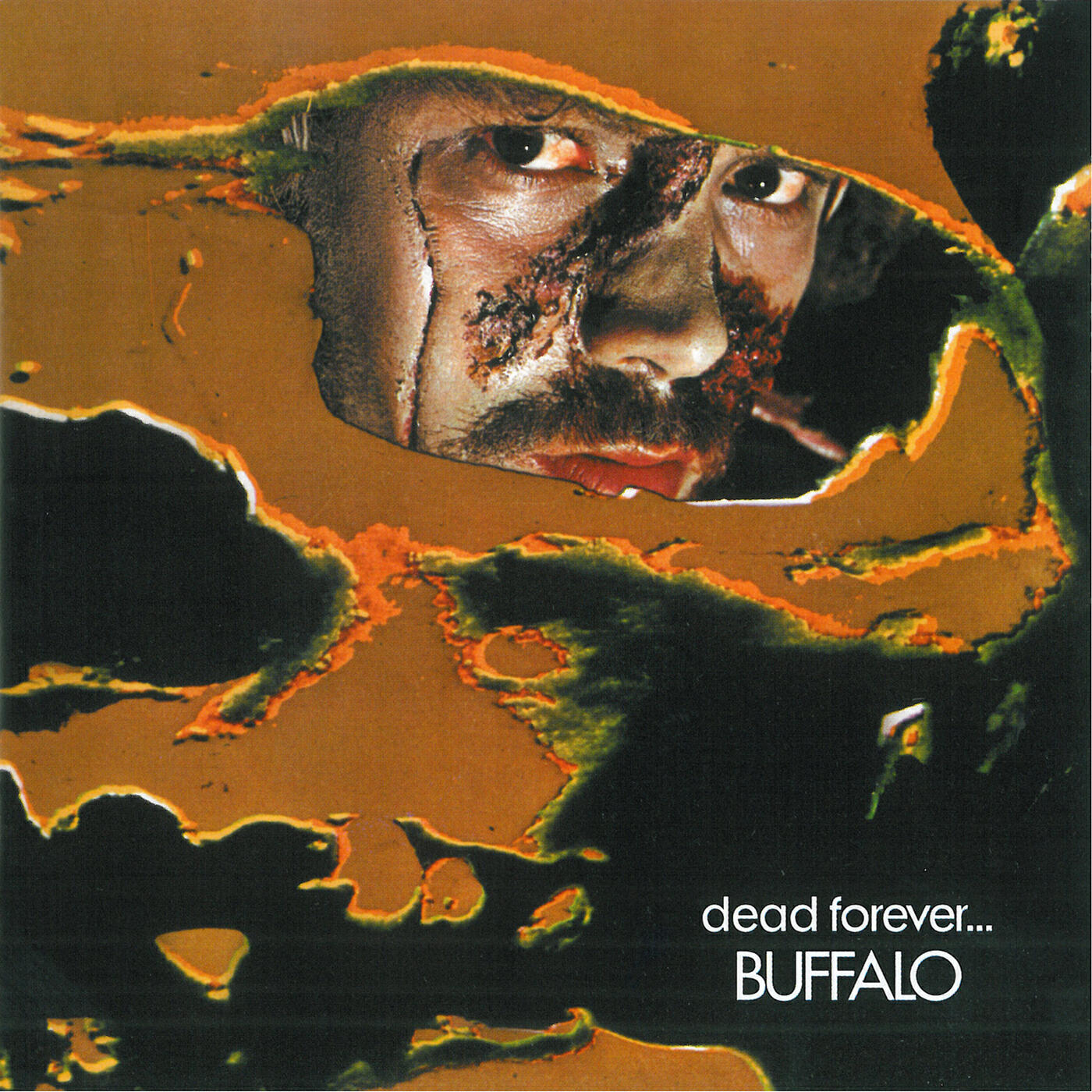 Buffalo. Metal forever. Forever dead. Forever dead. Forever a stone.