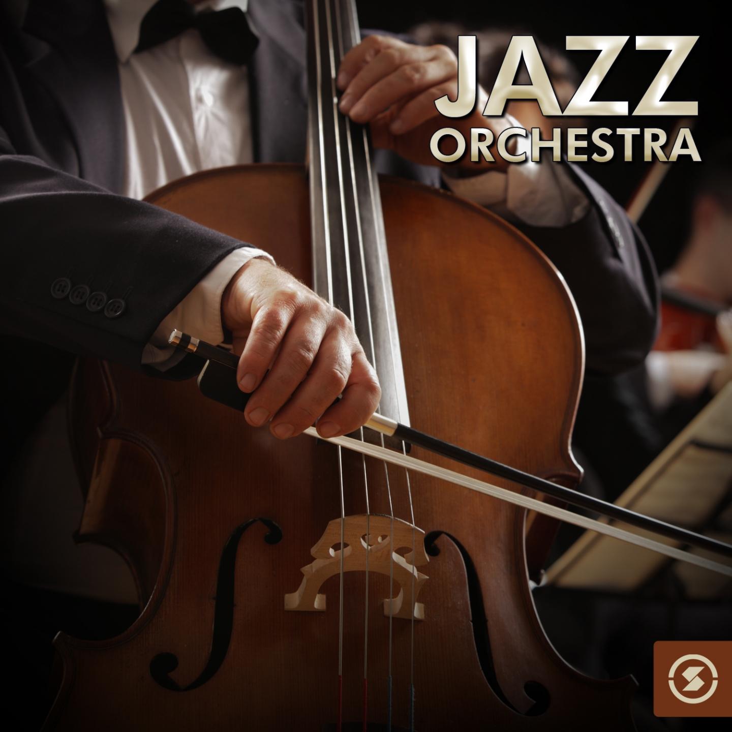 Постер альбома Jazz Orchestra