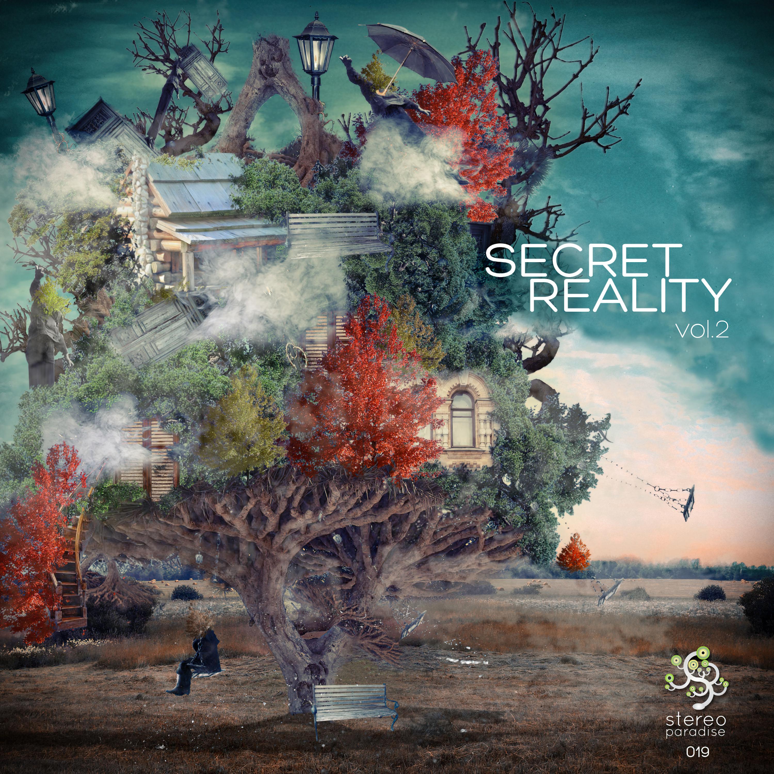 Постер альбома Secret Reality Series, Vol. 2