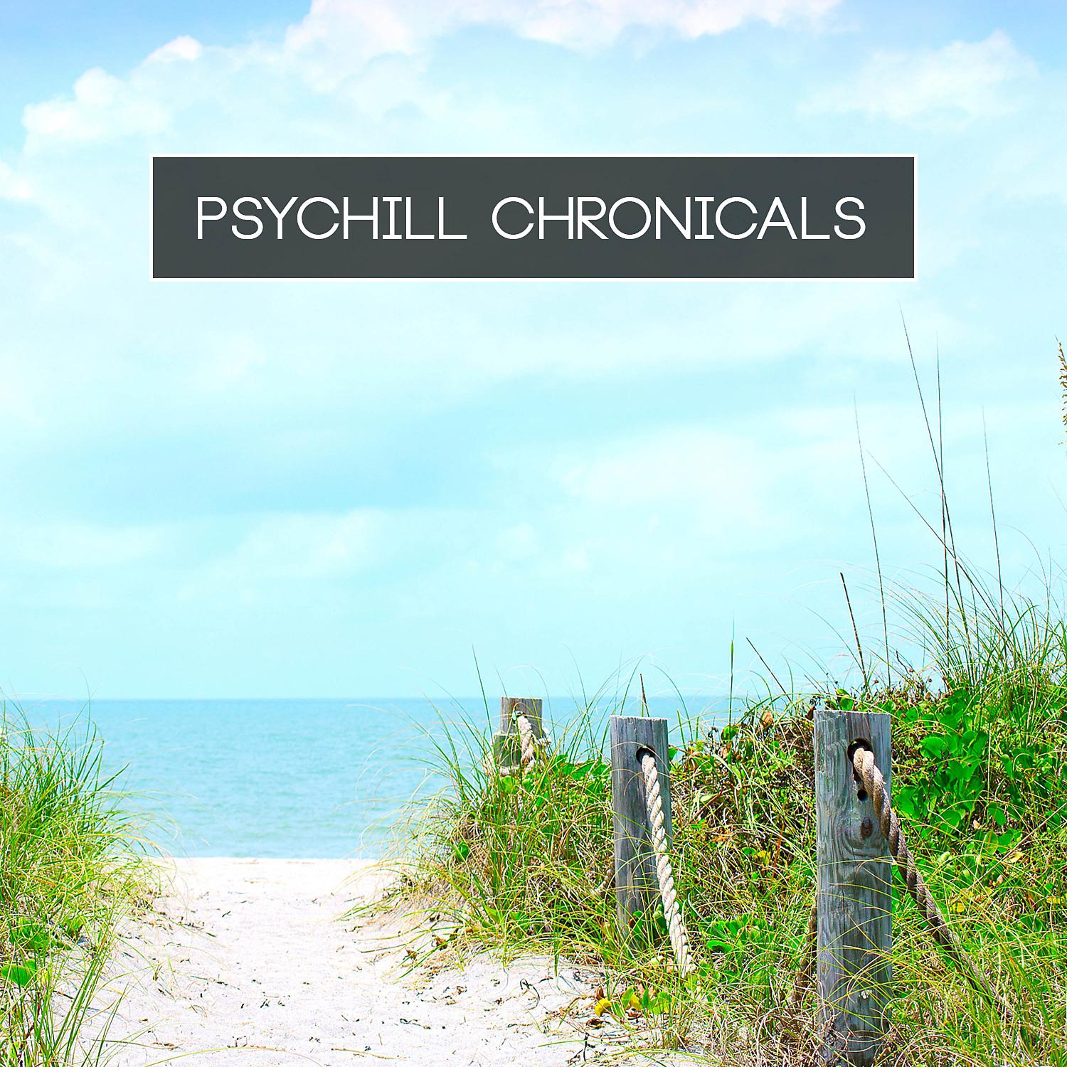 Постер альбома Psychill Chronicals