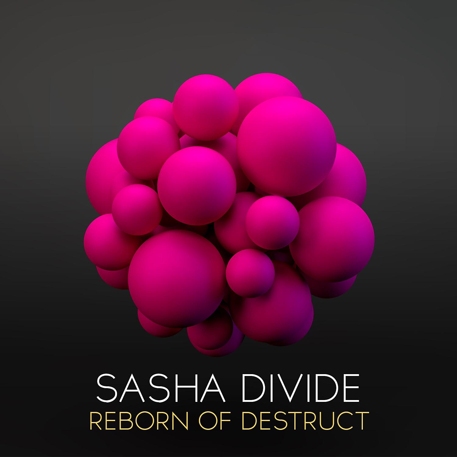 Постер альбома Reborn of Destruct