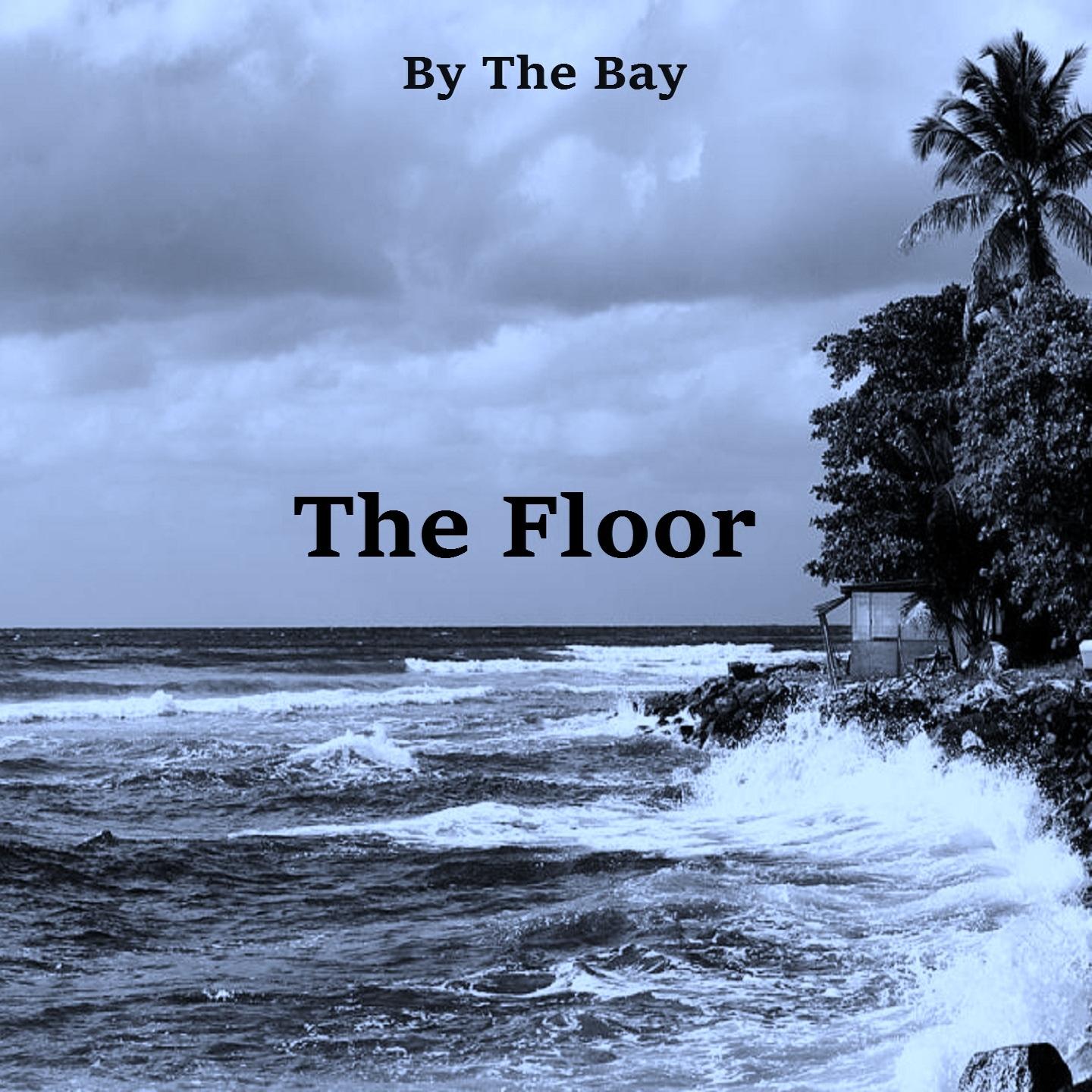 Постер альбома The Floor