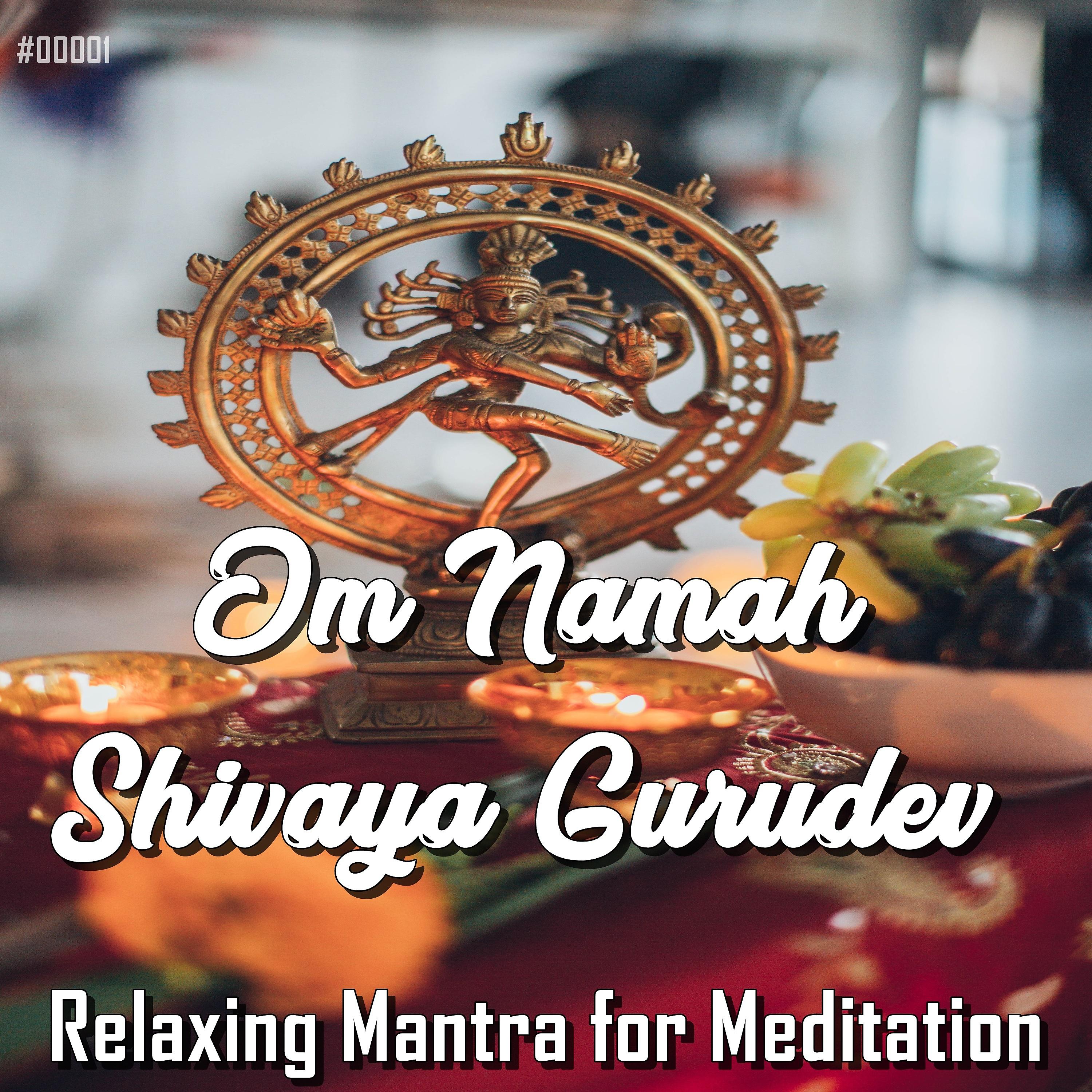 Постер альбома #00001 Om Namah Shivaya Gurudev Relaxing Mantra for Meditation