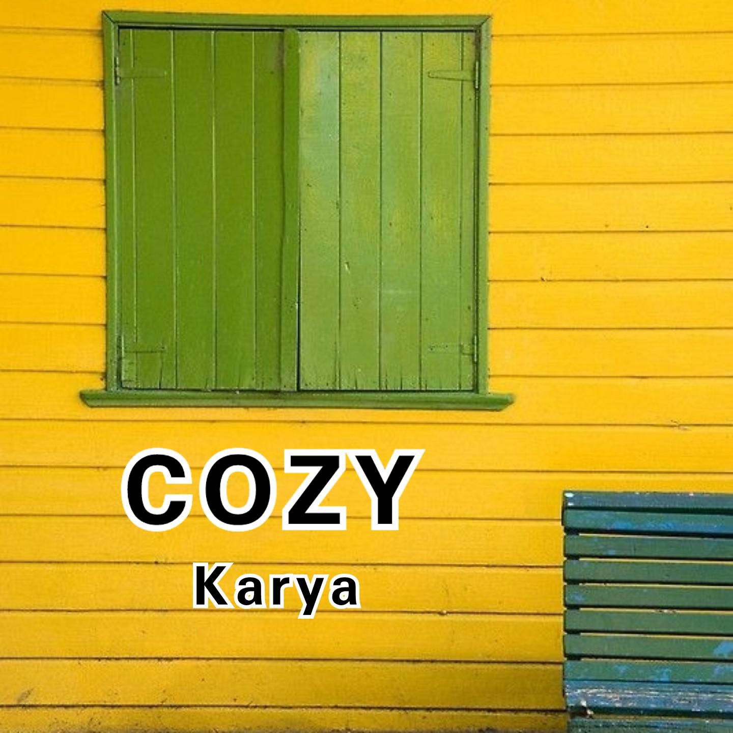 Постер альбома COZY