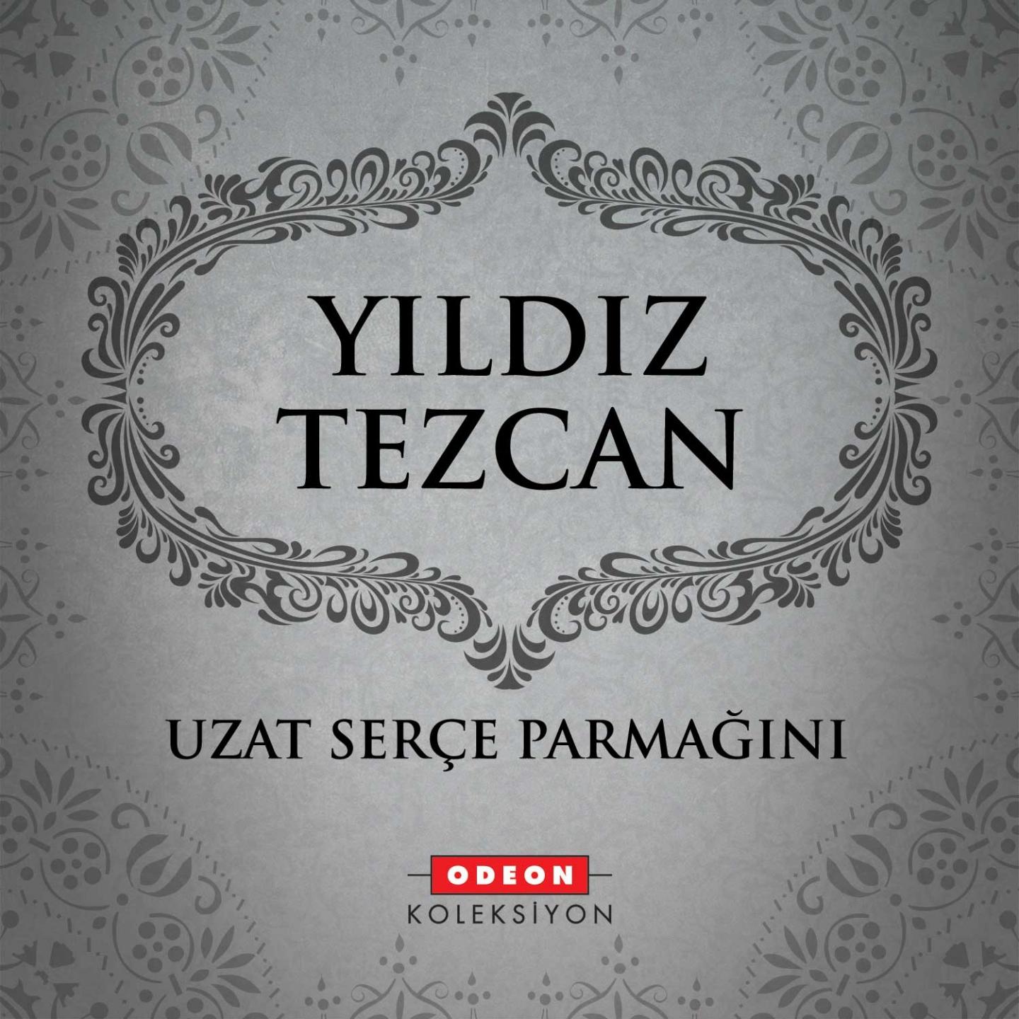 Yıldız Tezcan - Berduş Yıldız