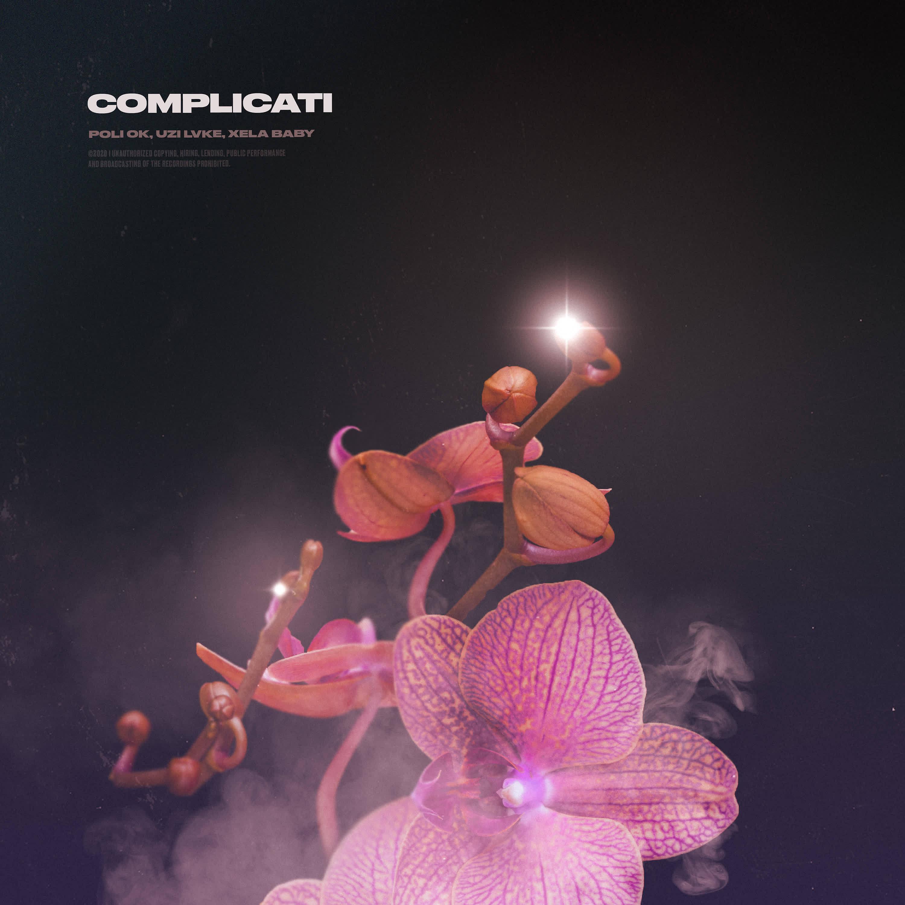 Постер альбома Complicati