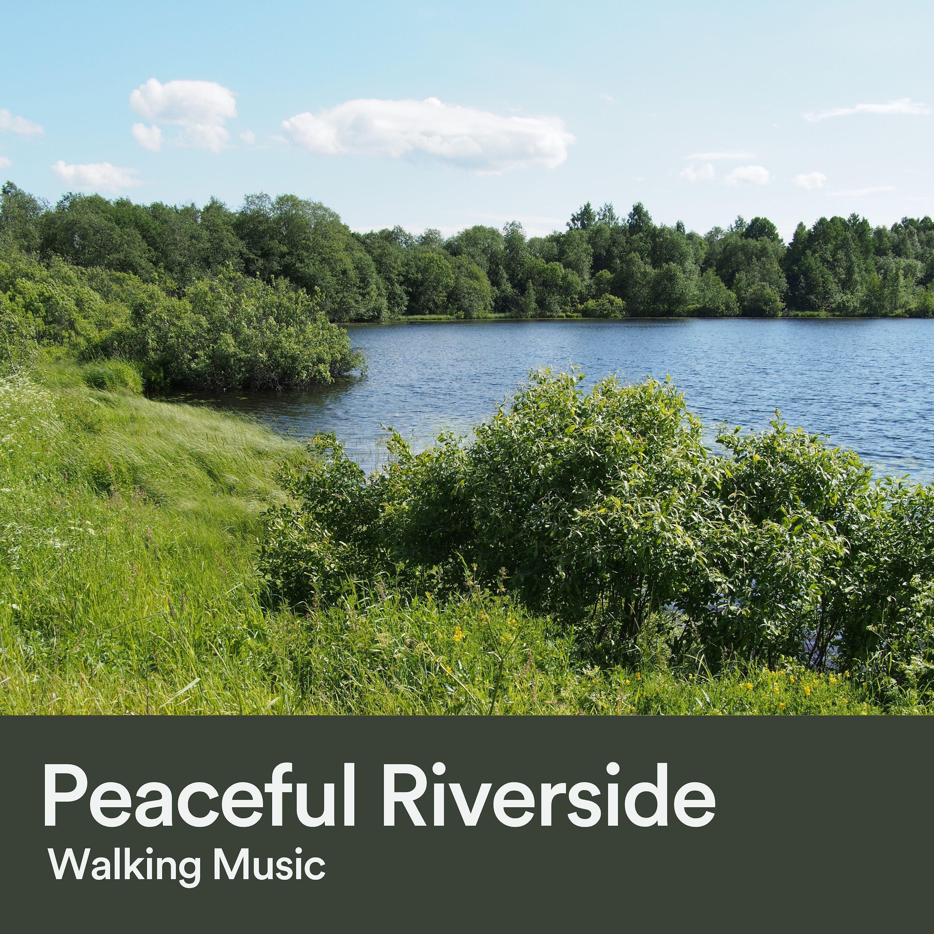 Постер альбома Peaceful Riverside Walking Music