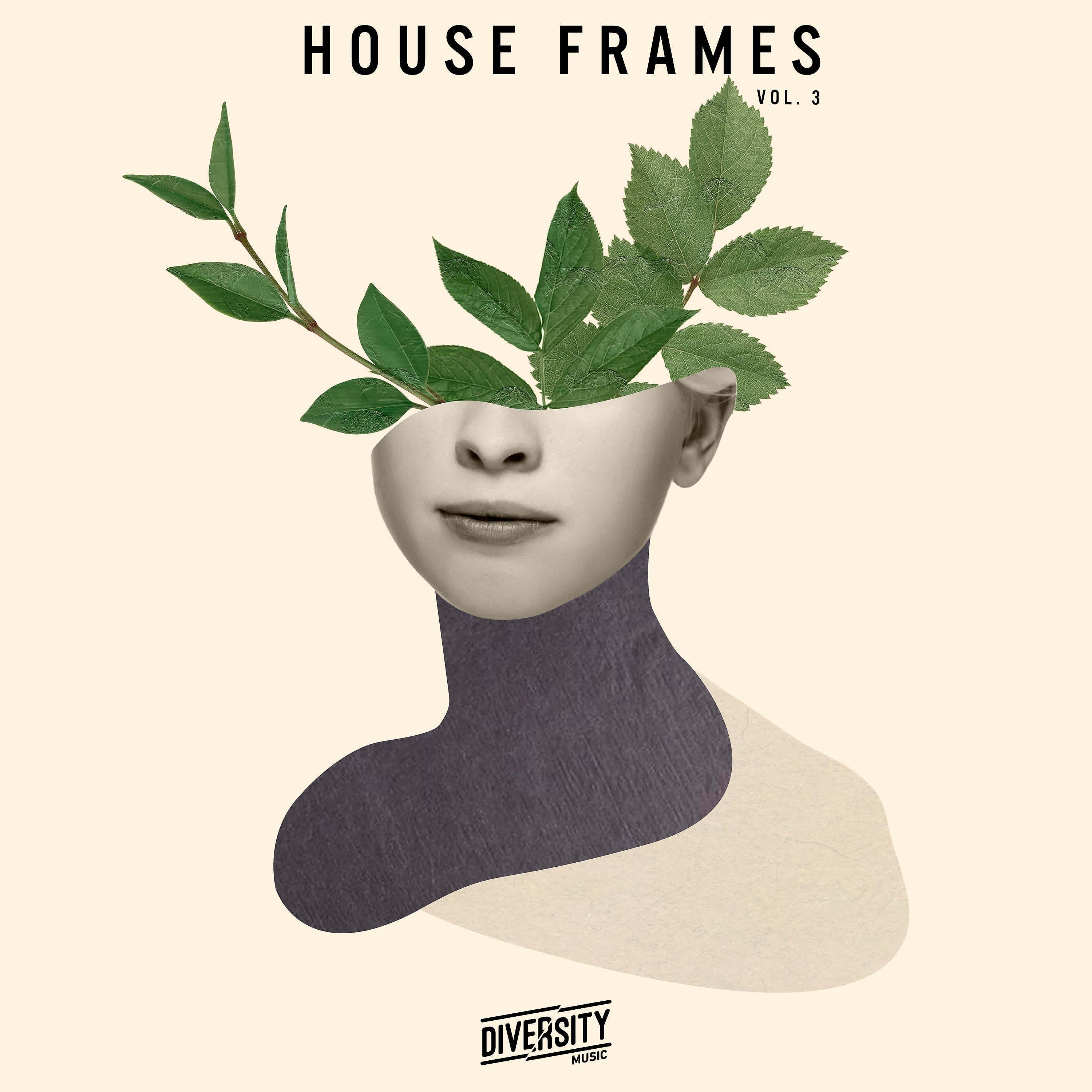 Постер альбома House Frames, Vol. 3