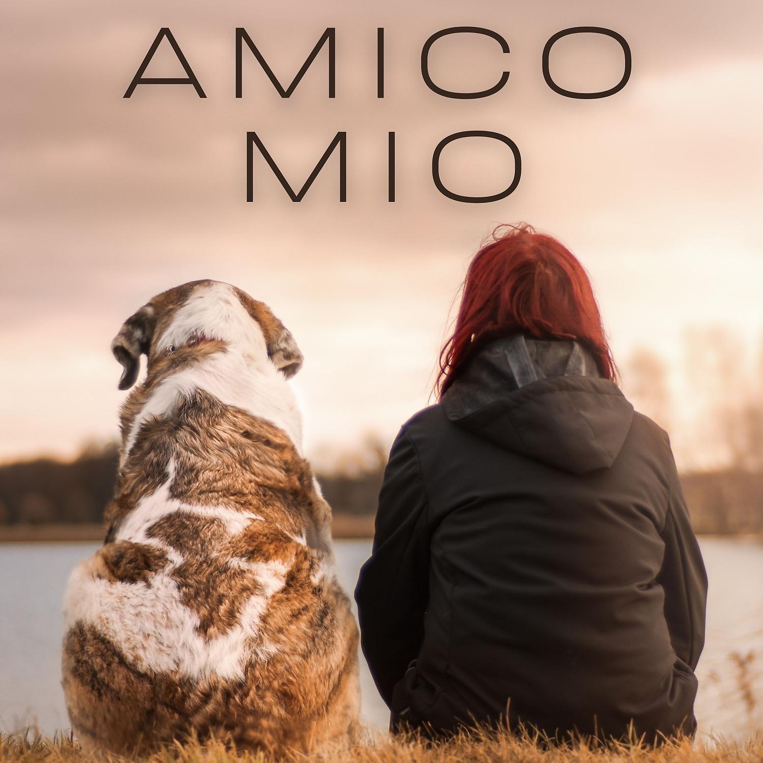 Постер альбома Amico Mio